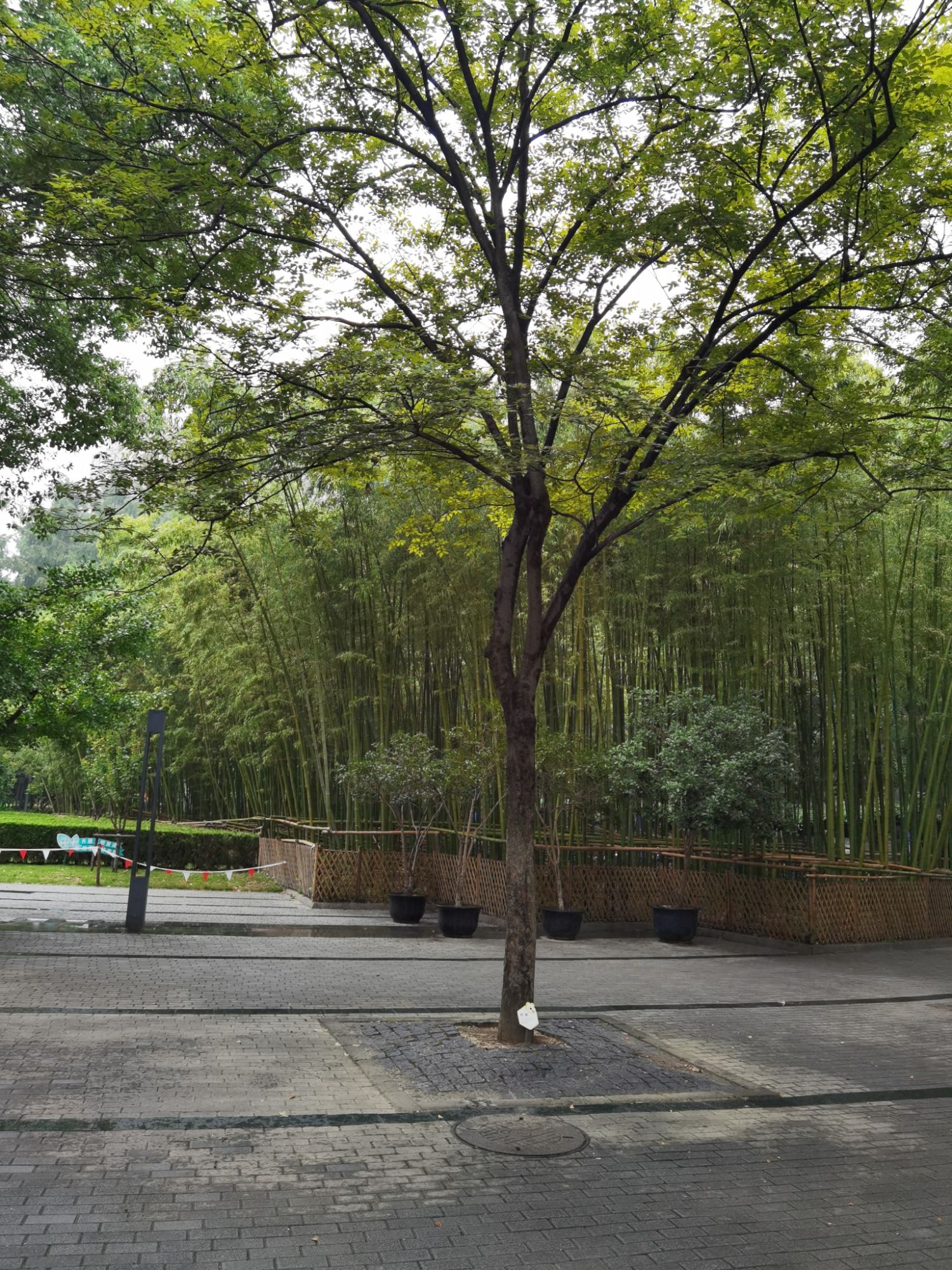 丽园公园旅行图片 2