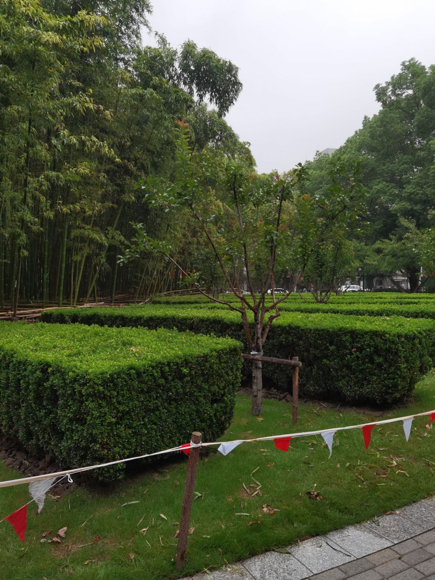 丽园公园旅行图片 3
