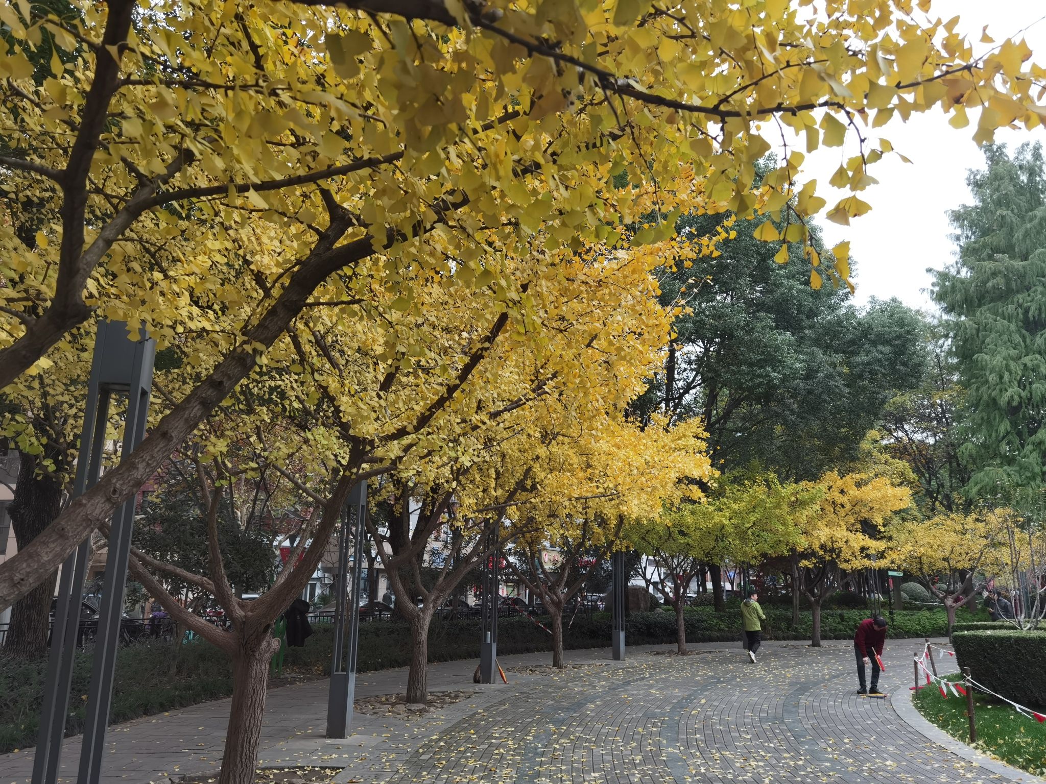 丽园公园旅行图片 3