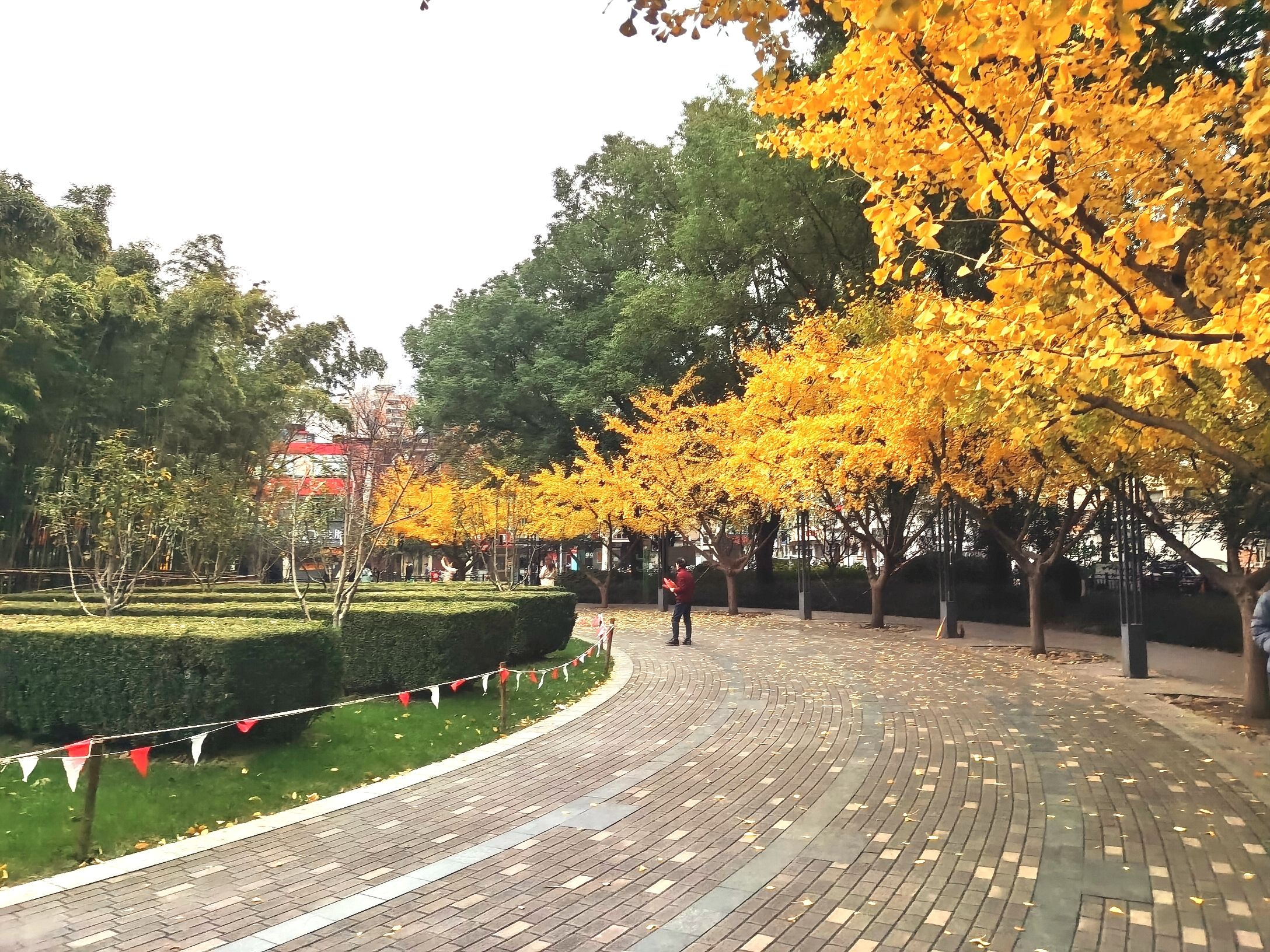 丽园公园旅行图片 1