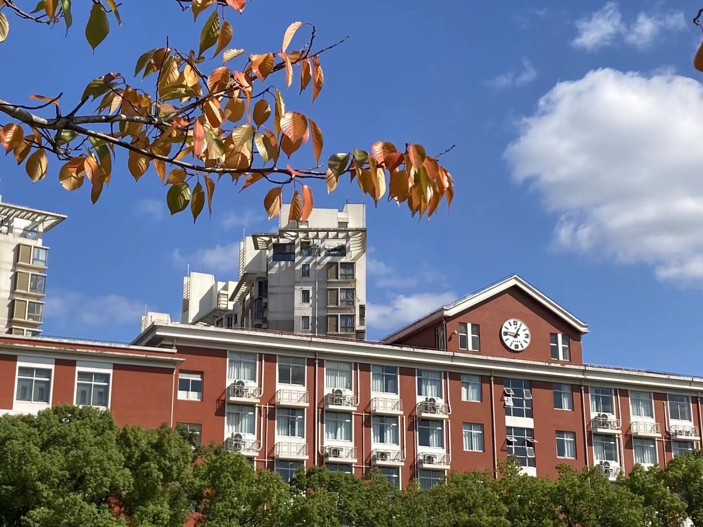 上海大学延长校区