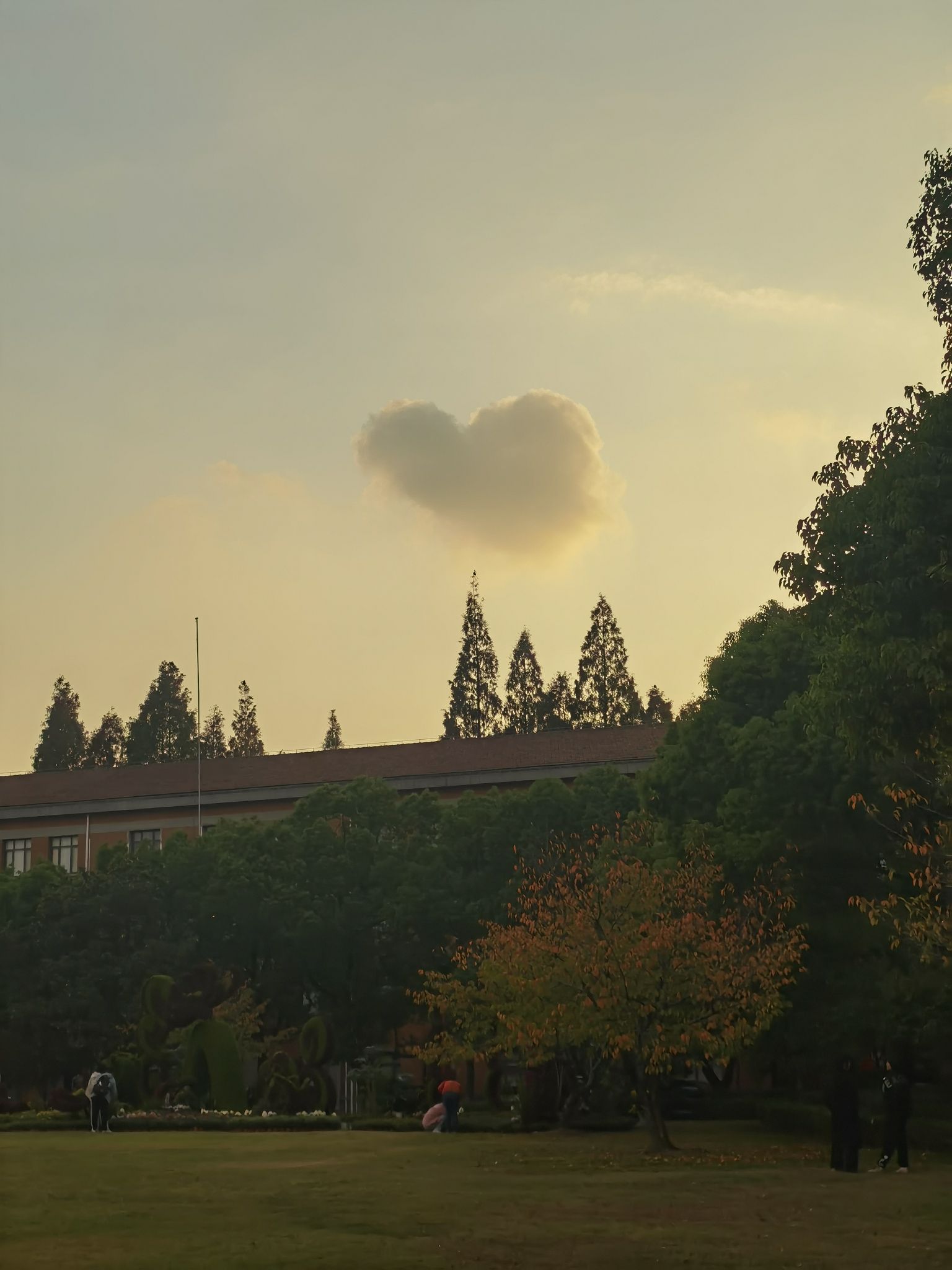 上海大学延长校区