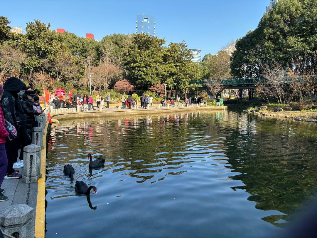 徐家汇公园旅行图片 3