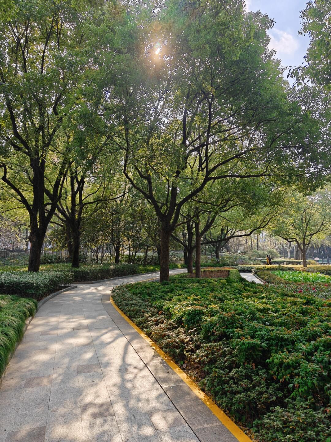 徐家汇公园旅行图片 1