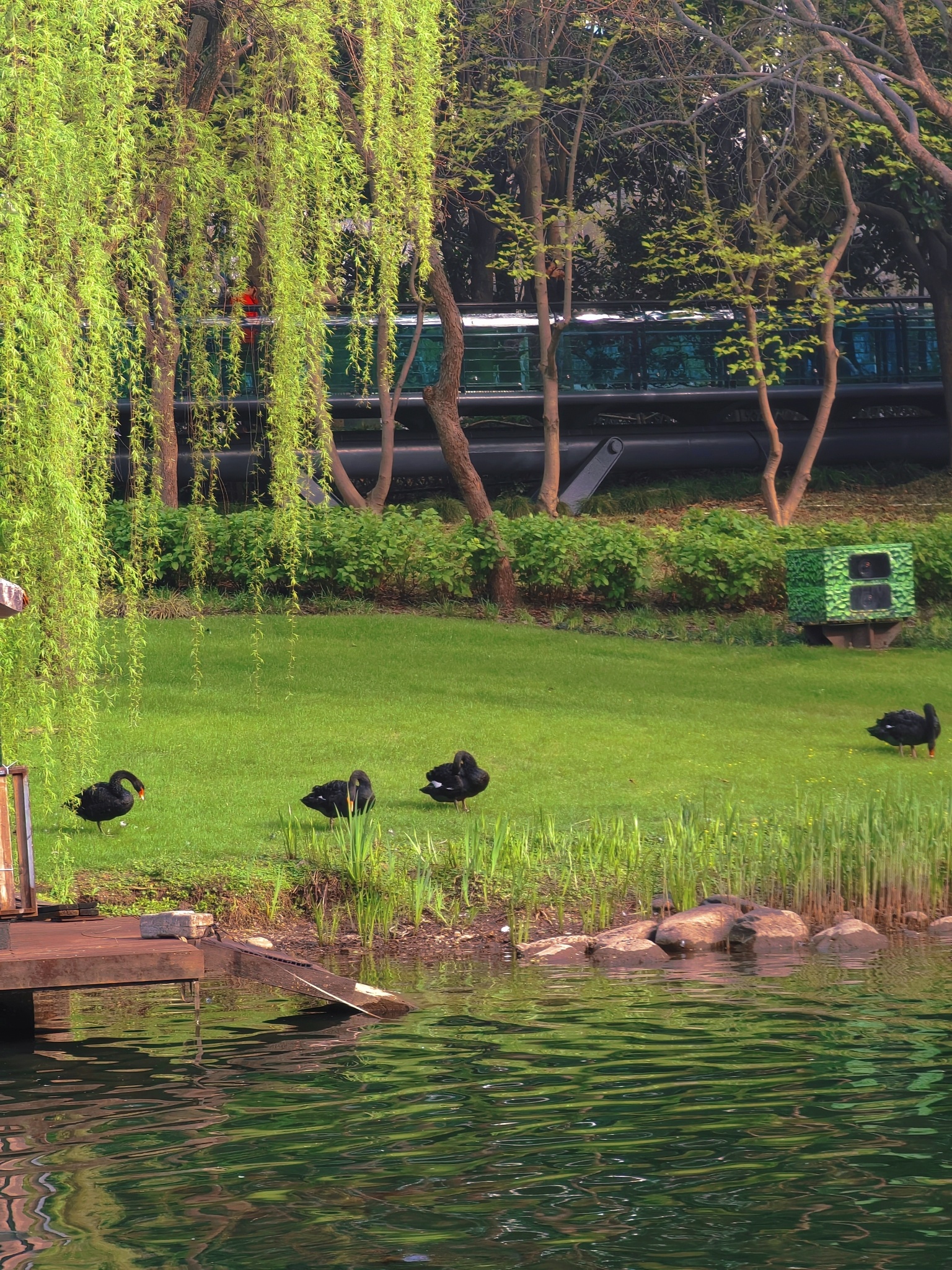 徐家汇公园旅行图片 3