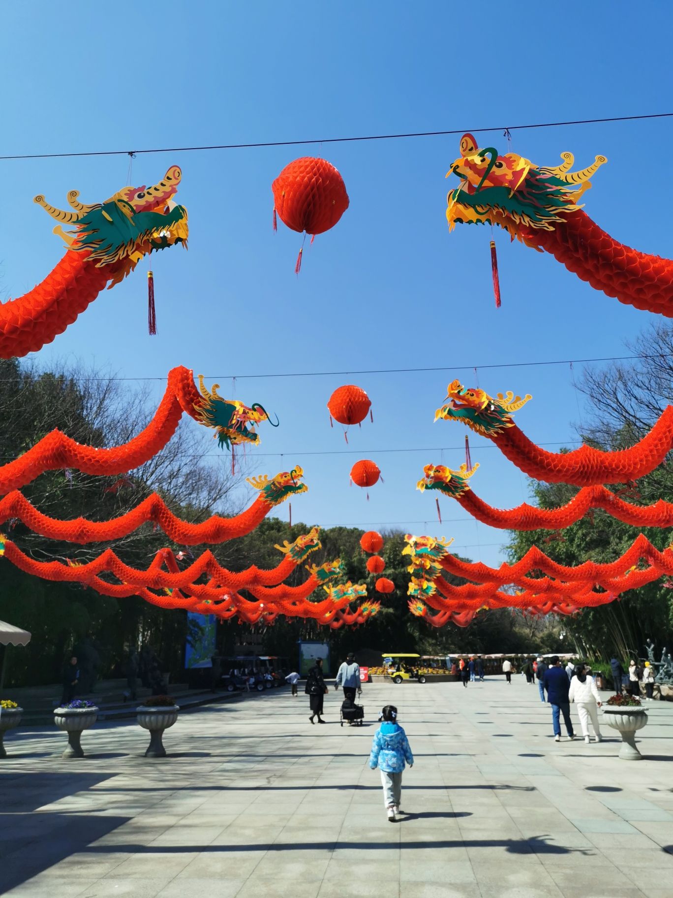 东方绿舟旅行图片 1