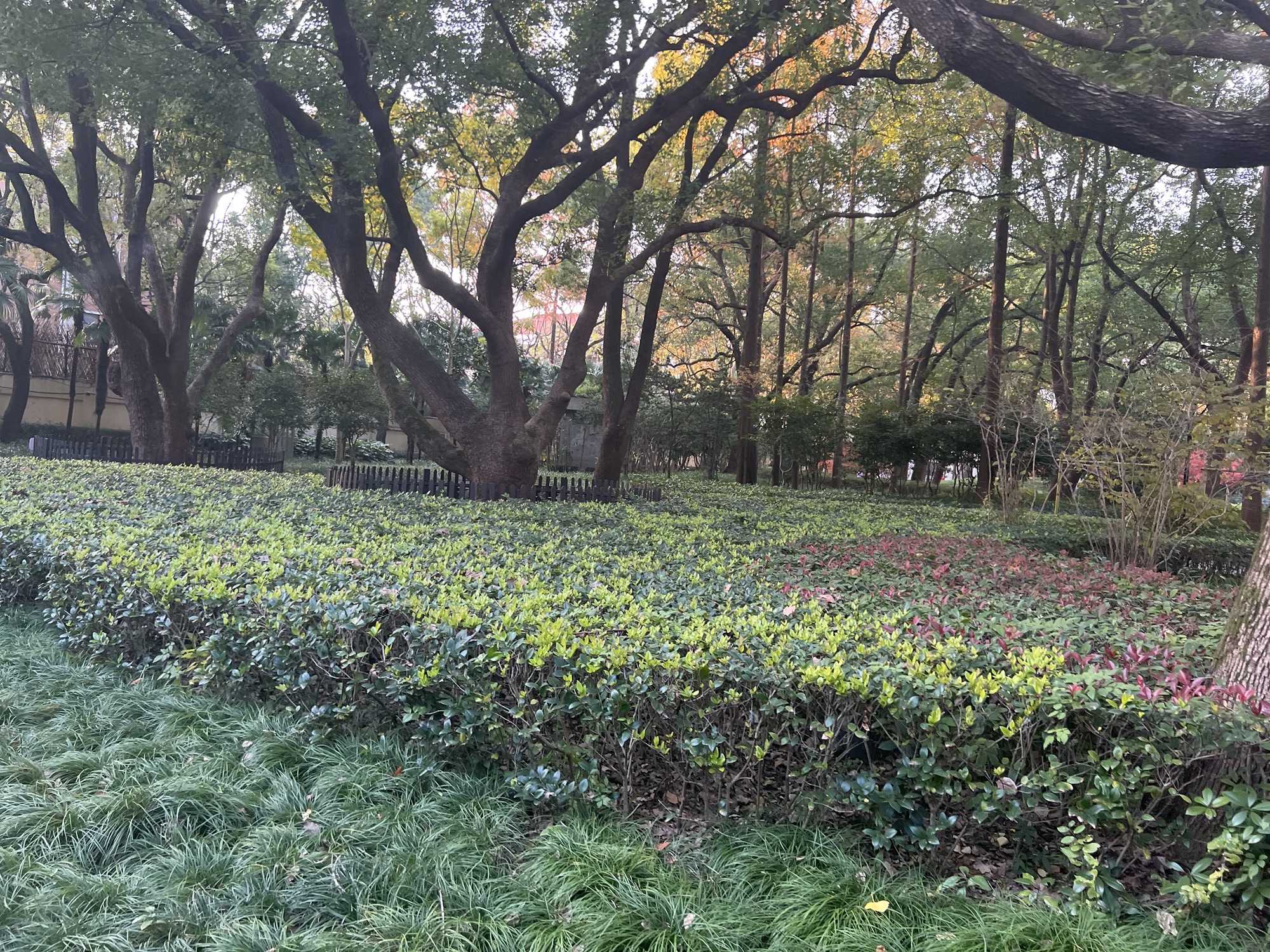衡山公园旅行图片 2
