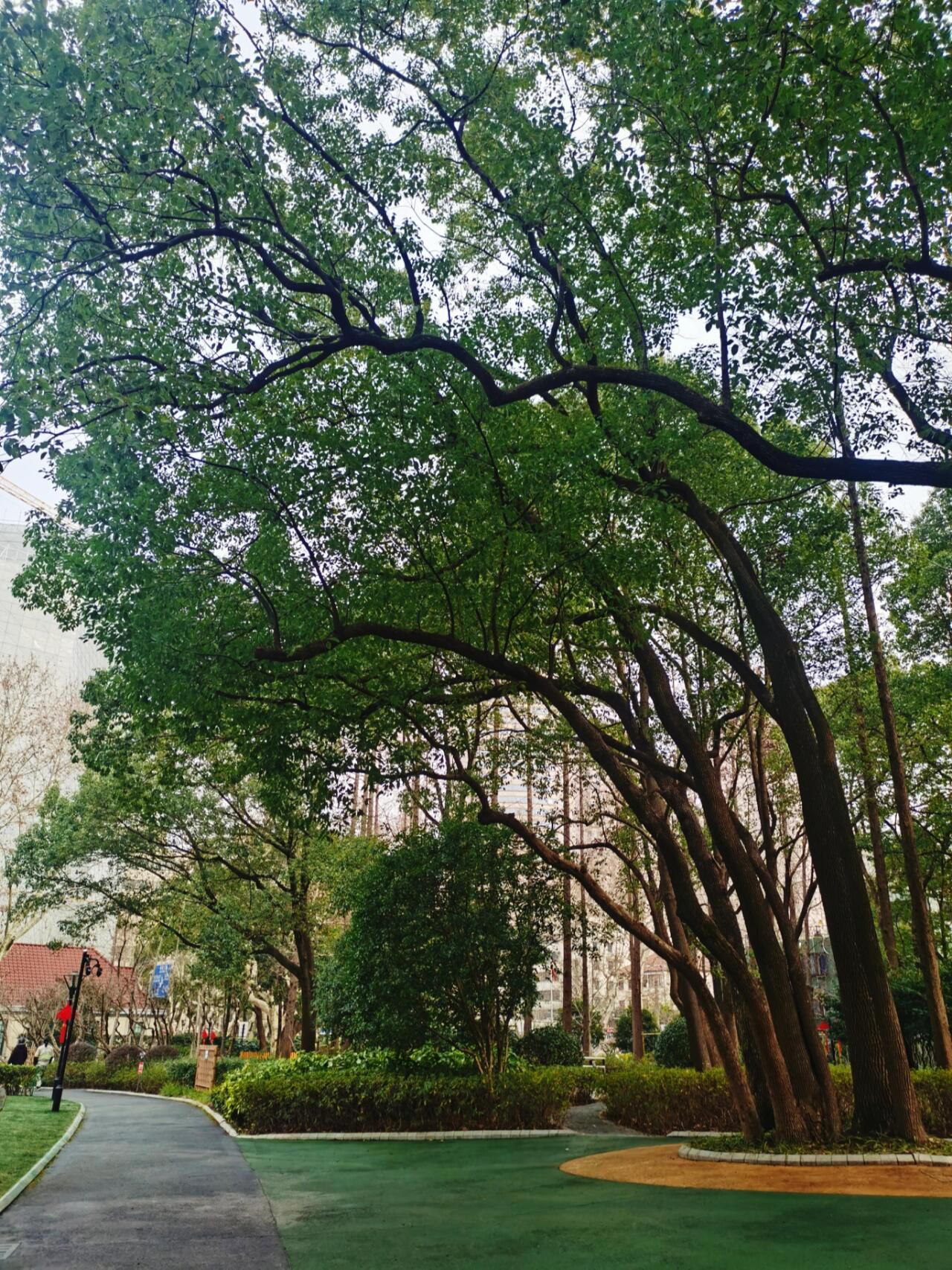 衡山公园旅行图片 2