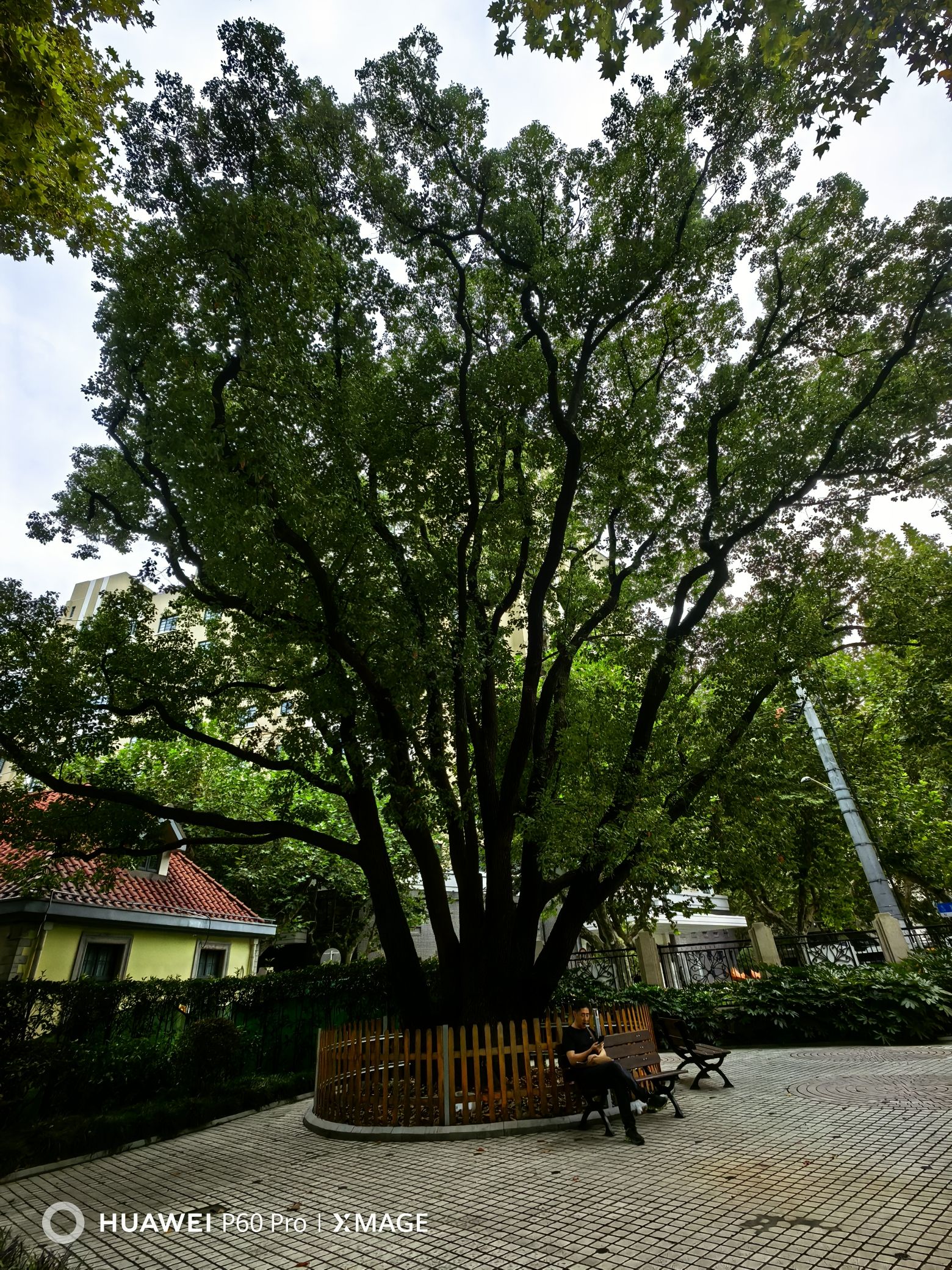 衡山公园旅行图片 1