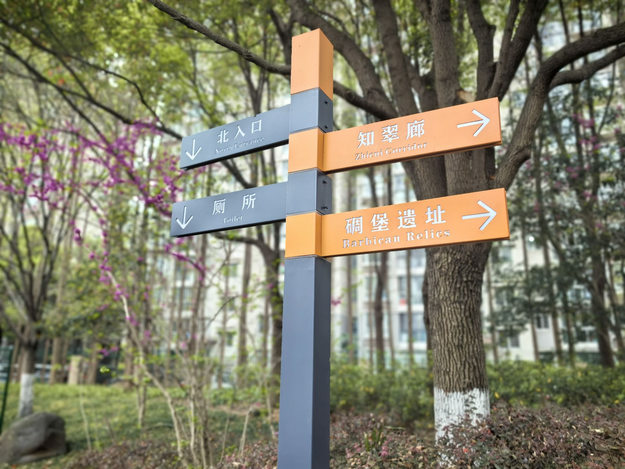共和公园旅行图片 2