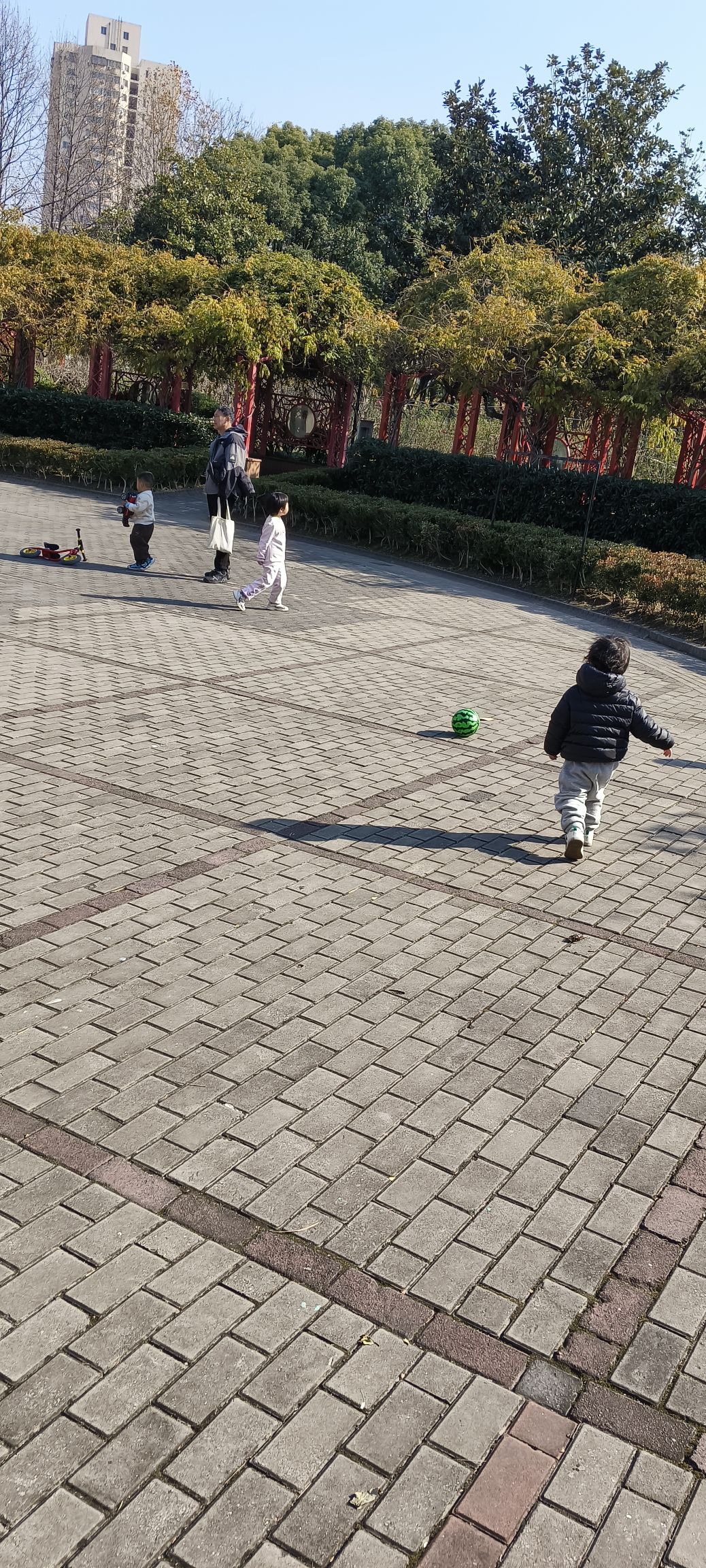 金桥公园旅行图片 2