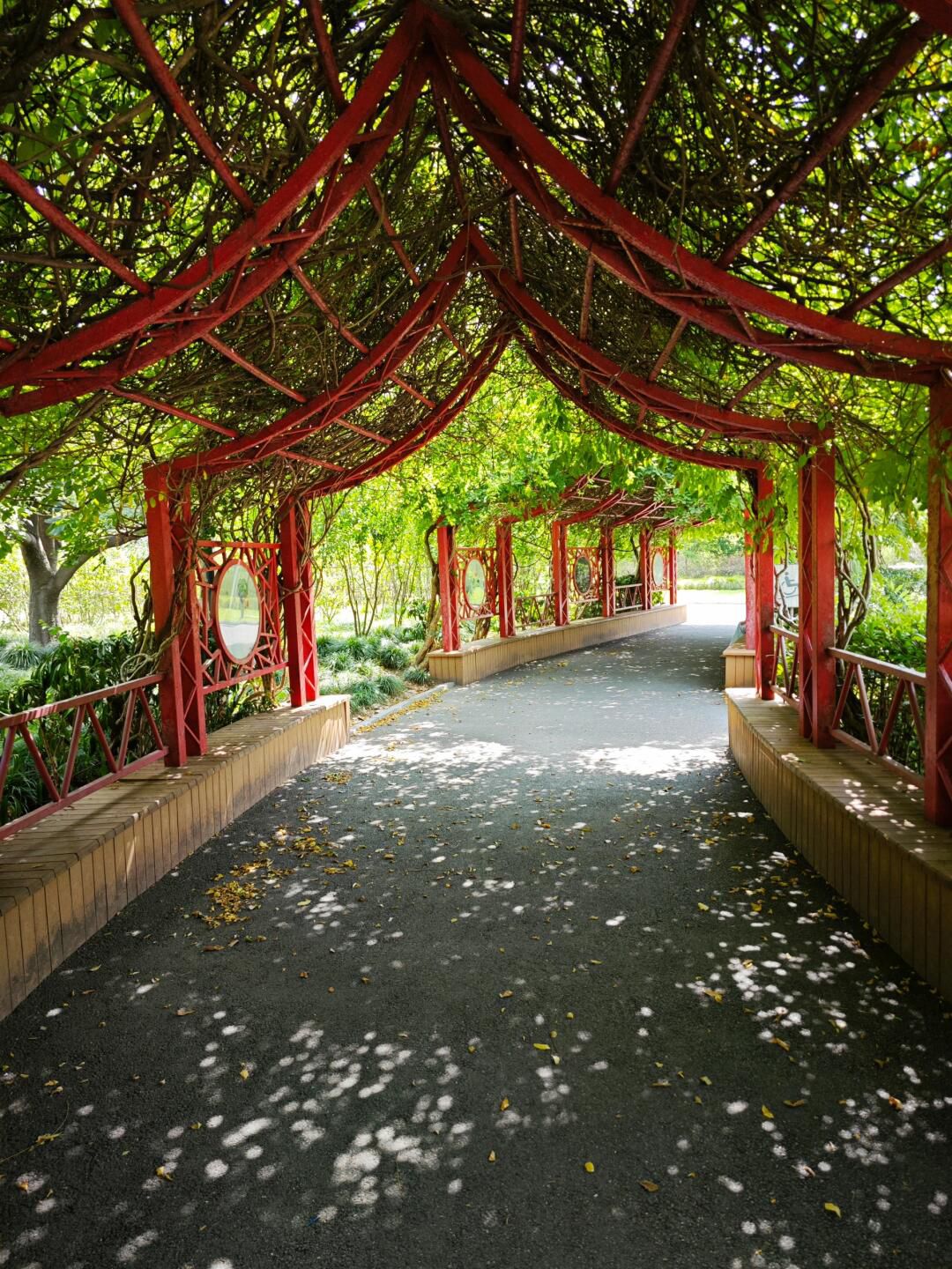 金桥公园旅行图片 1