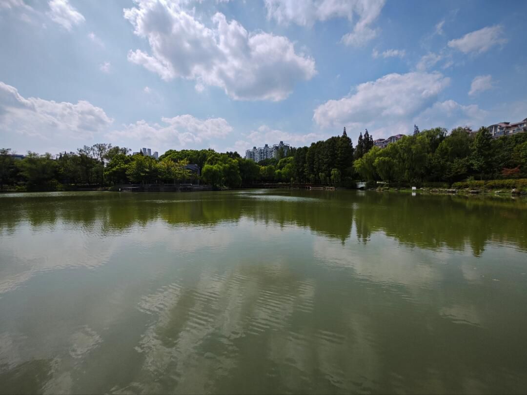 金桥公园旅行图片 1