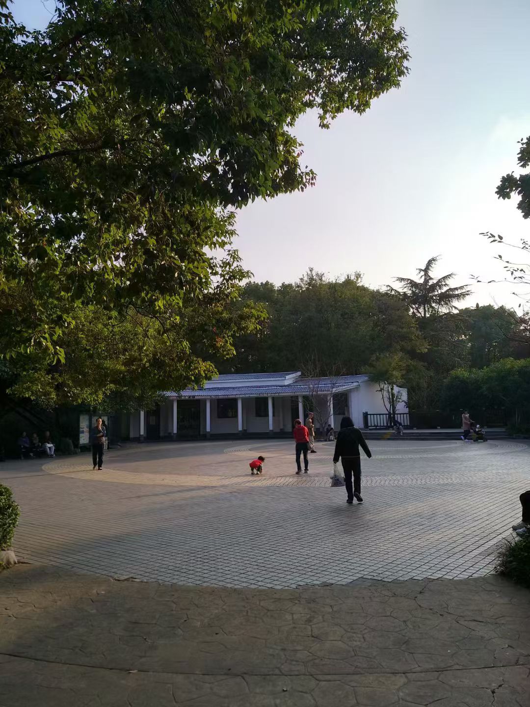延春公园旅行图片 2