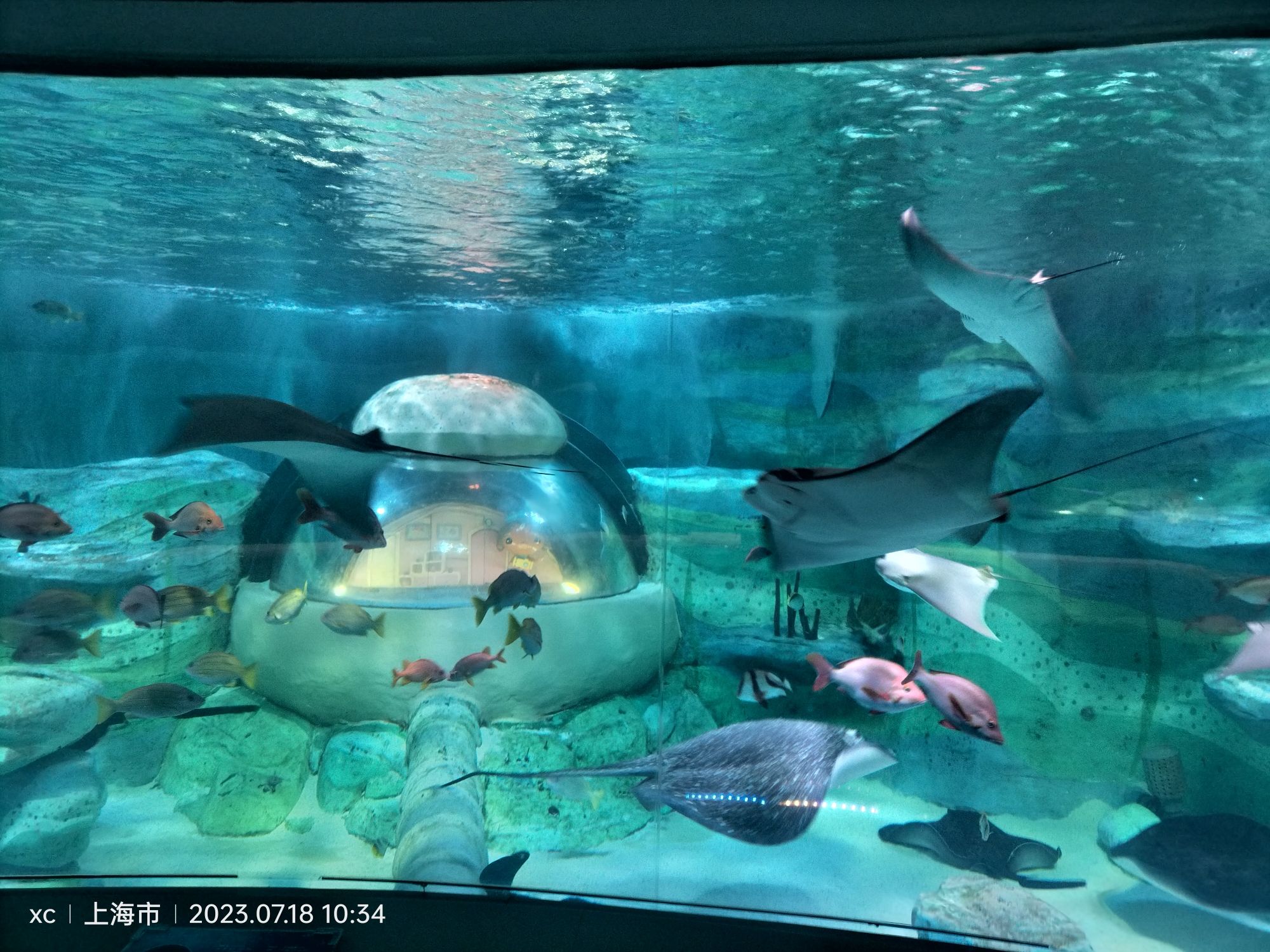 上海长风公园旅行图片 2