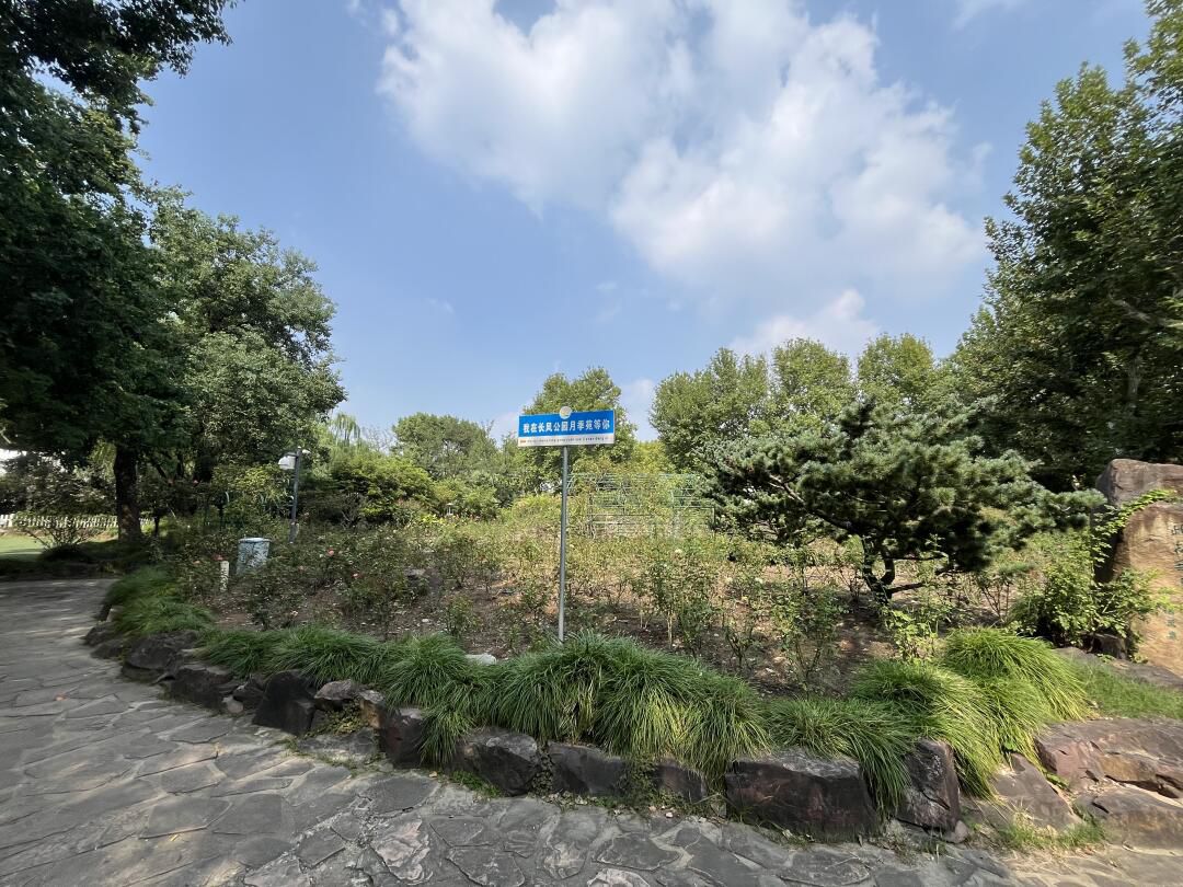上海长风公园旅行图片 1