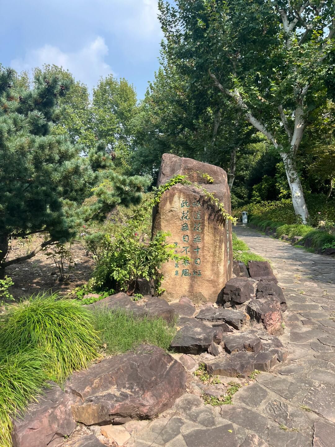 上海长风公园旅行图片 2
