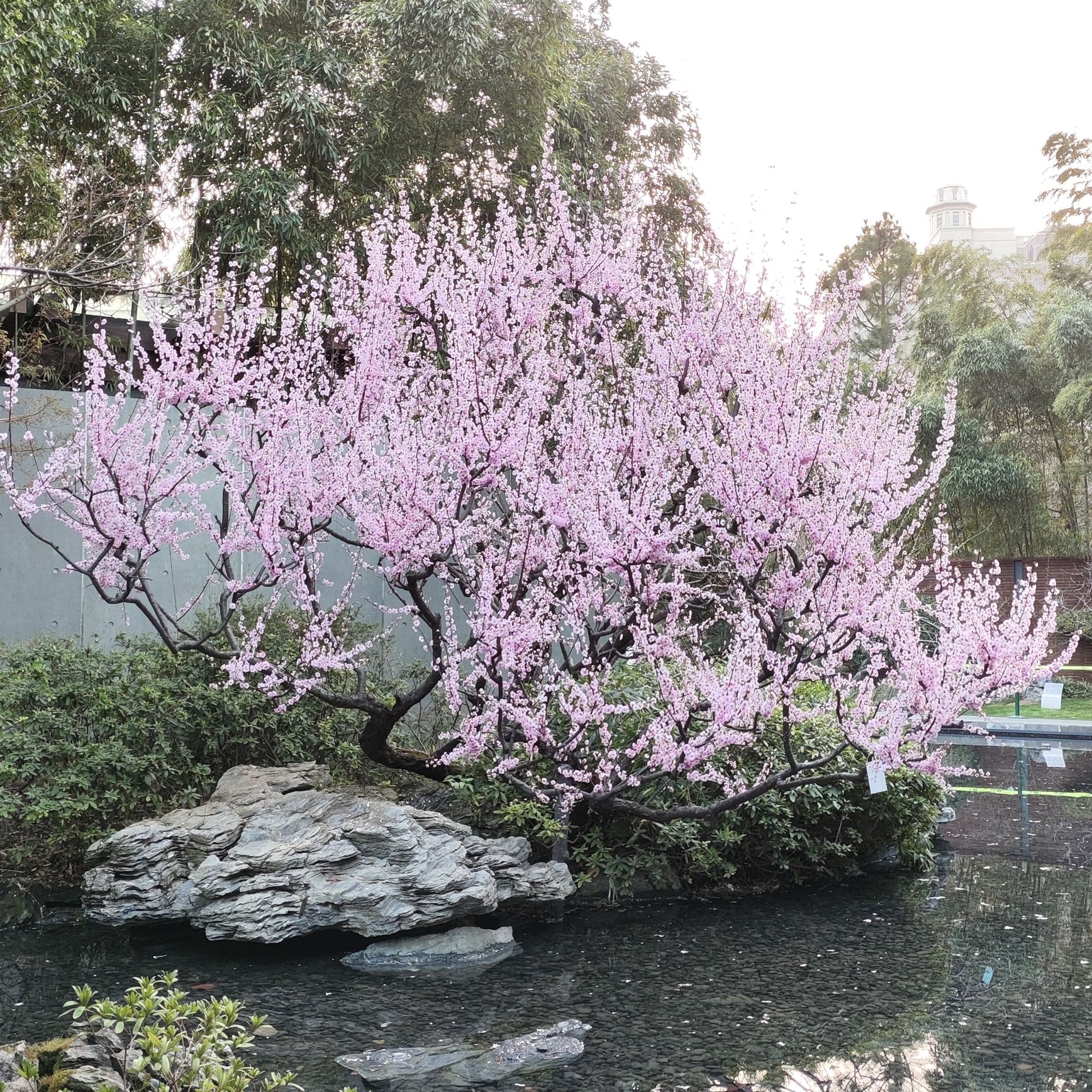 静安雕塑公园旅行图片 1