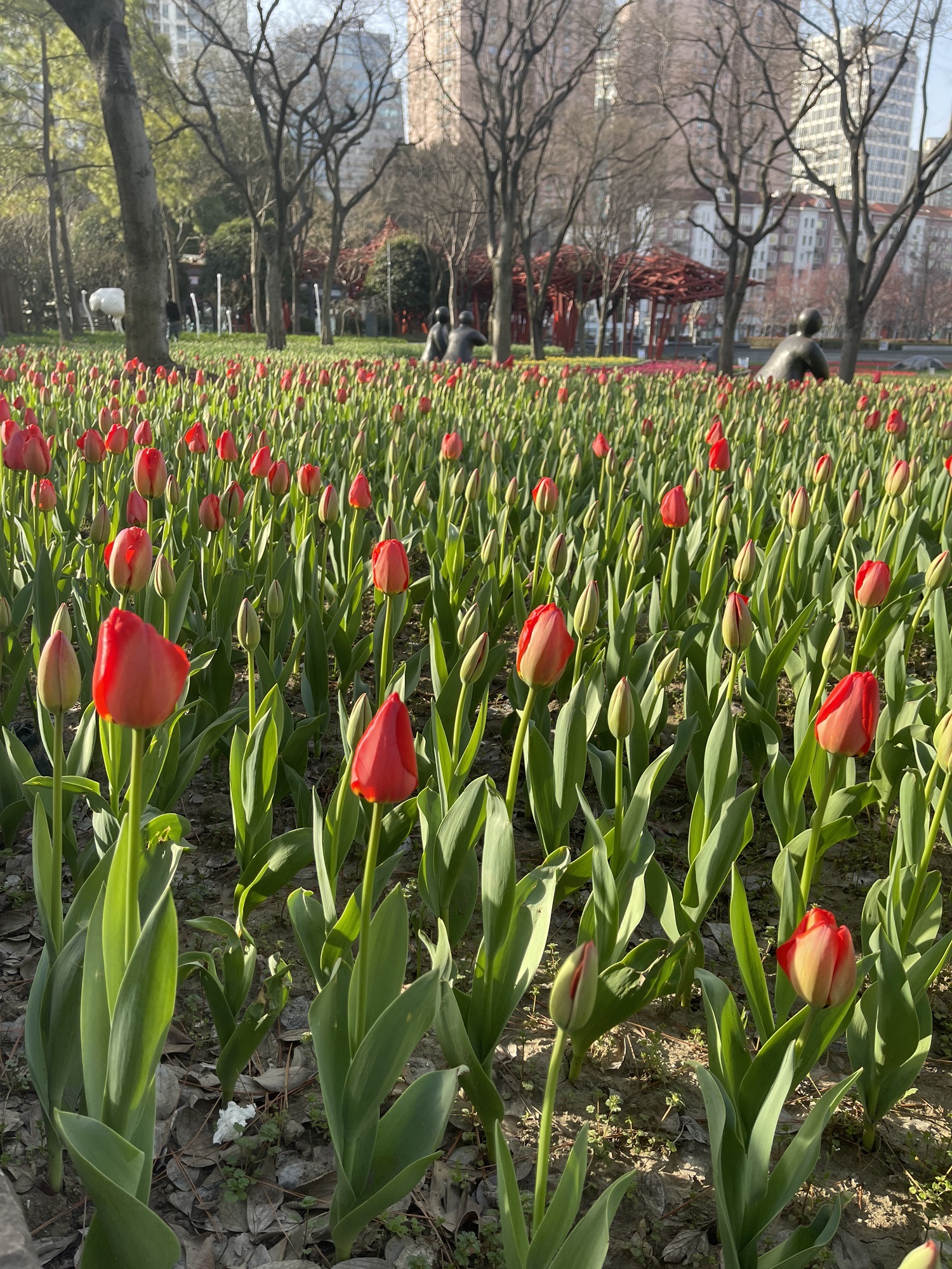 静安雕塑公园旅行图片 2