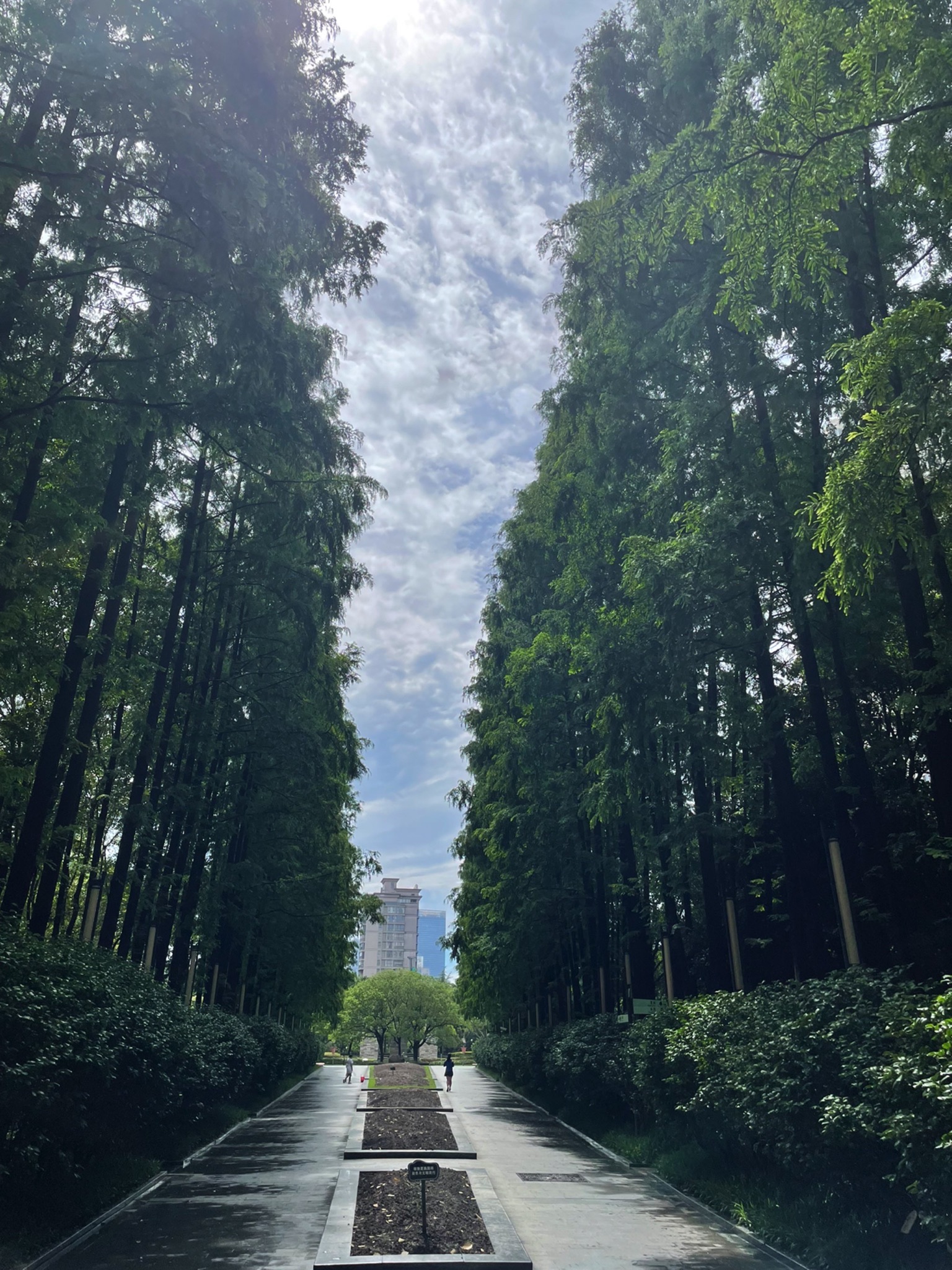 广场公园旅行图片 1