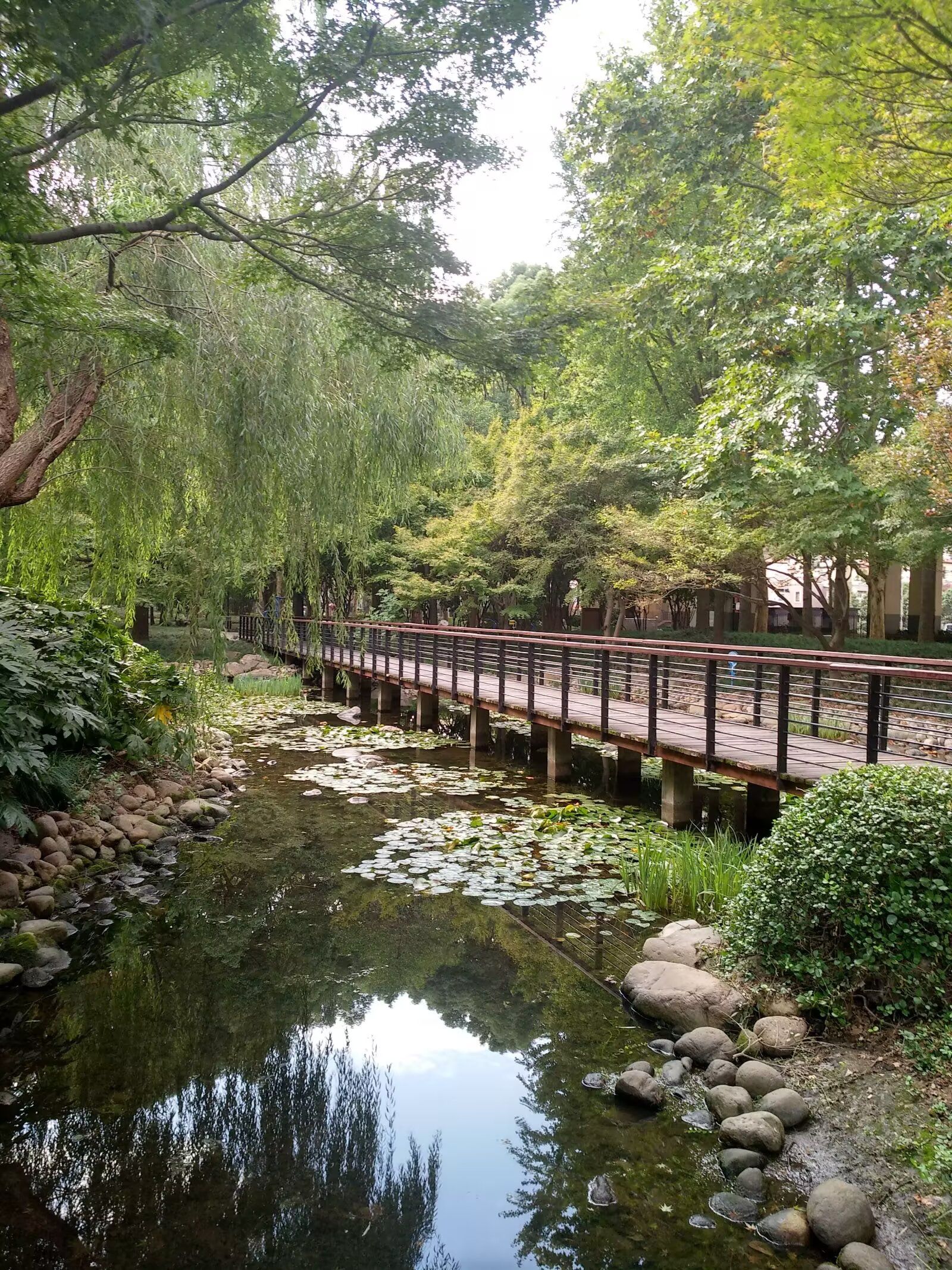 广场公园旅行图片 2