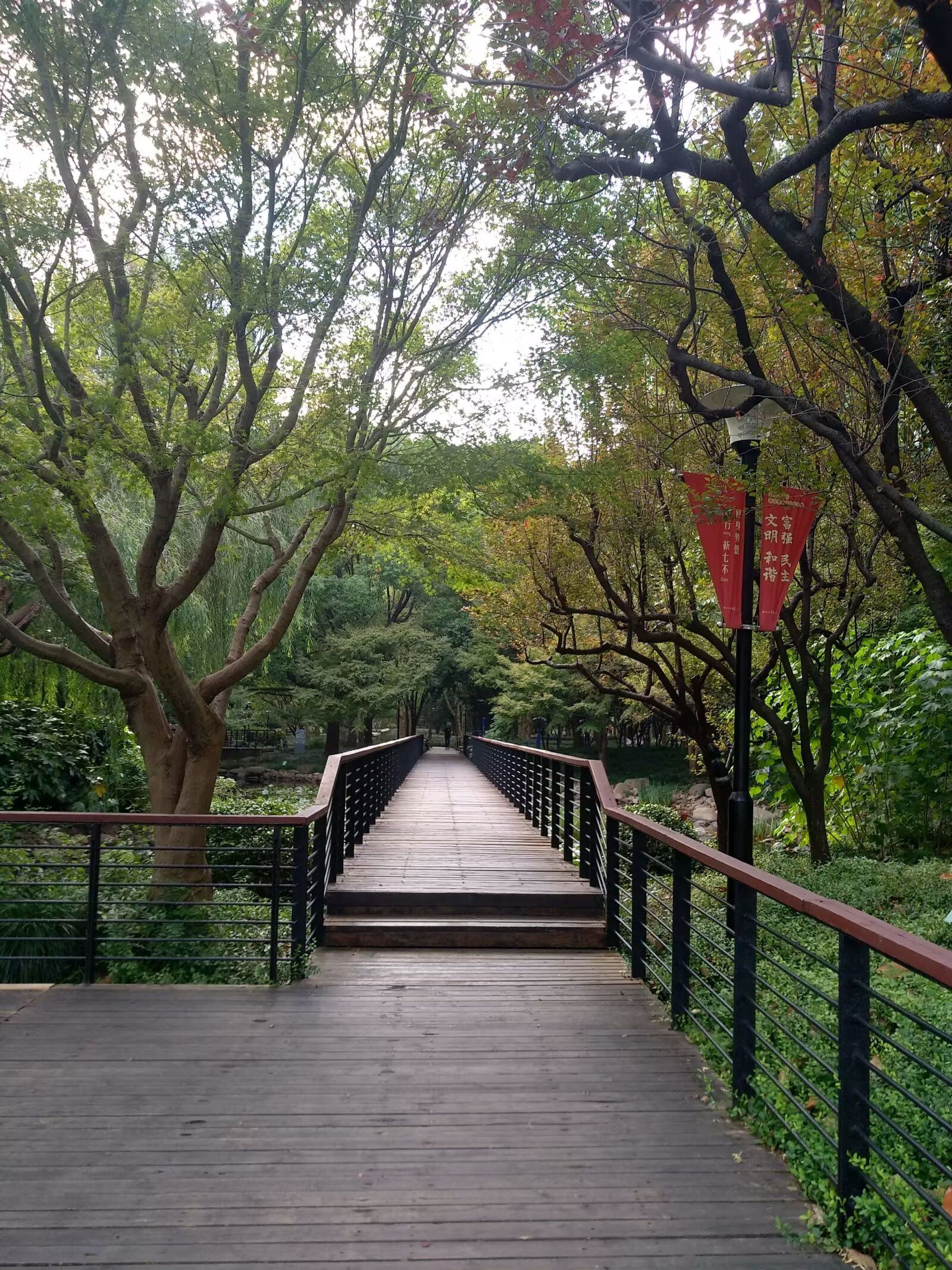 广场公园旅行图片 1