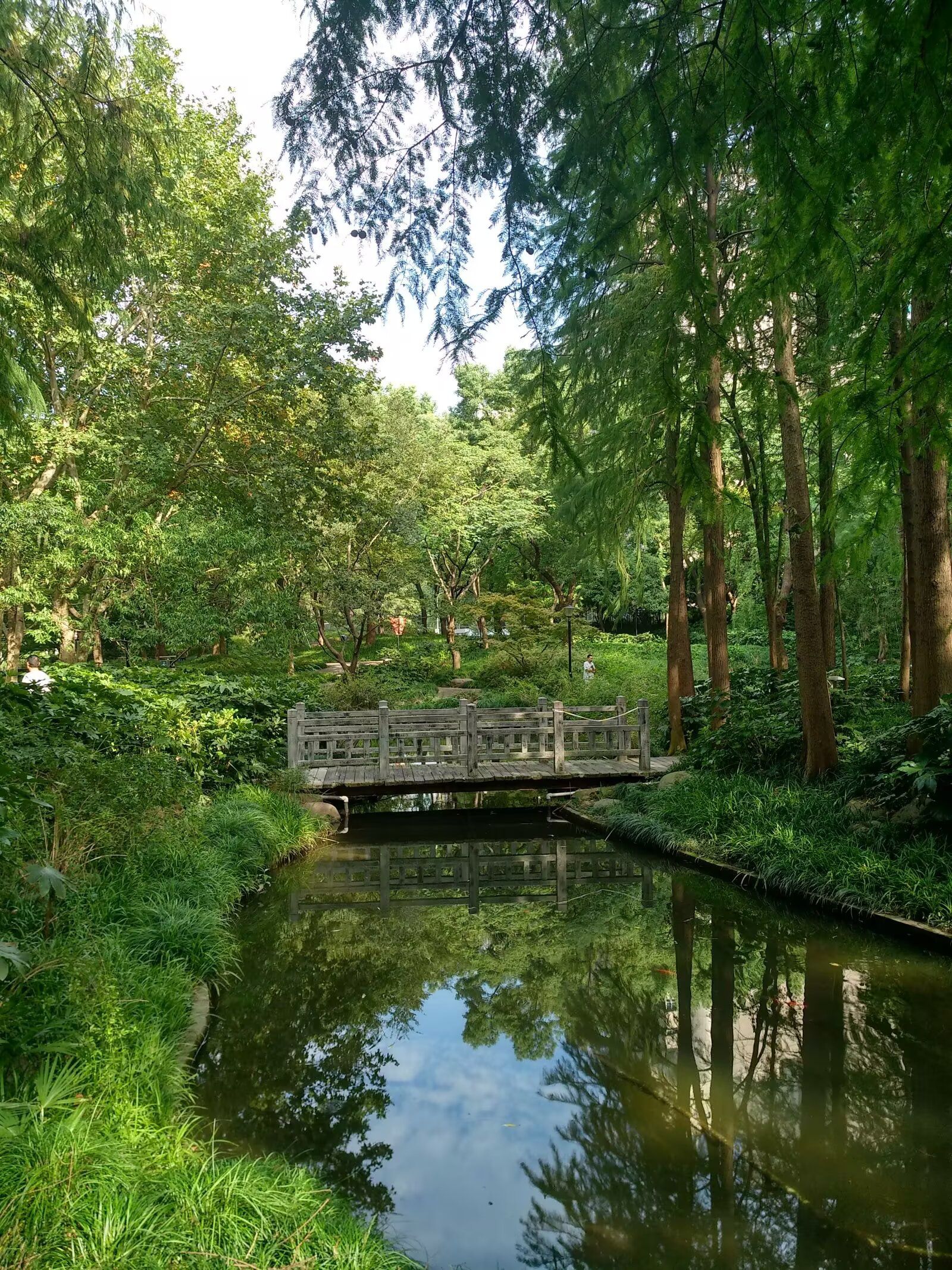 广场公园旅行图片 3