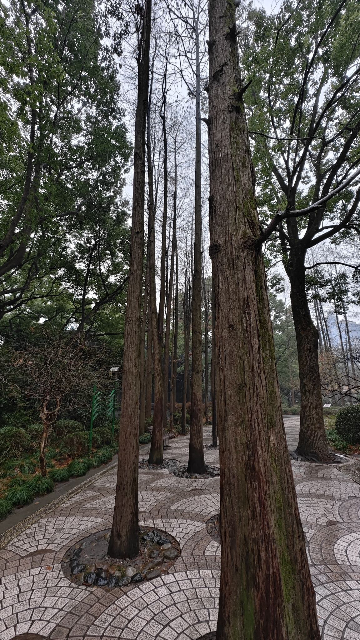 人民公园旅行图片 1