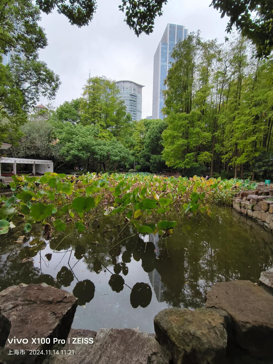 人民公园旅行图片 2