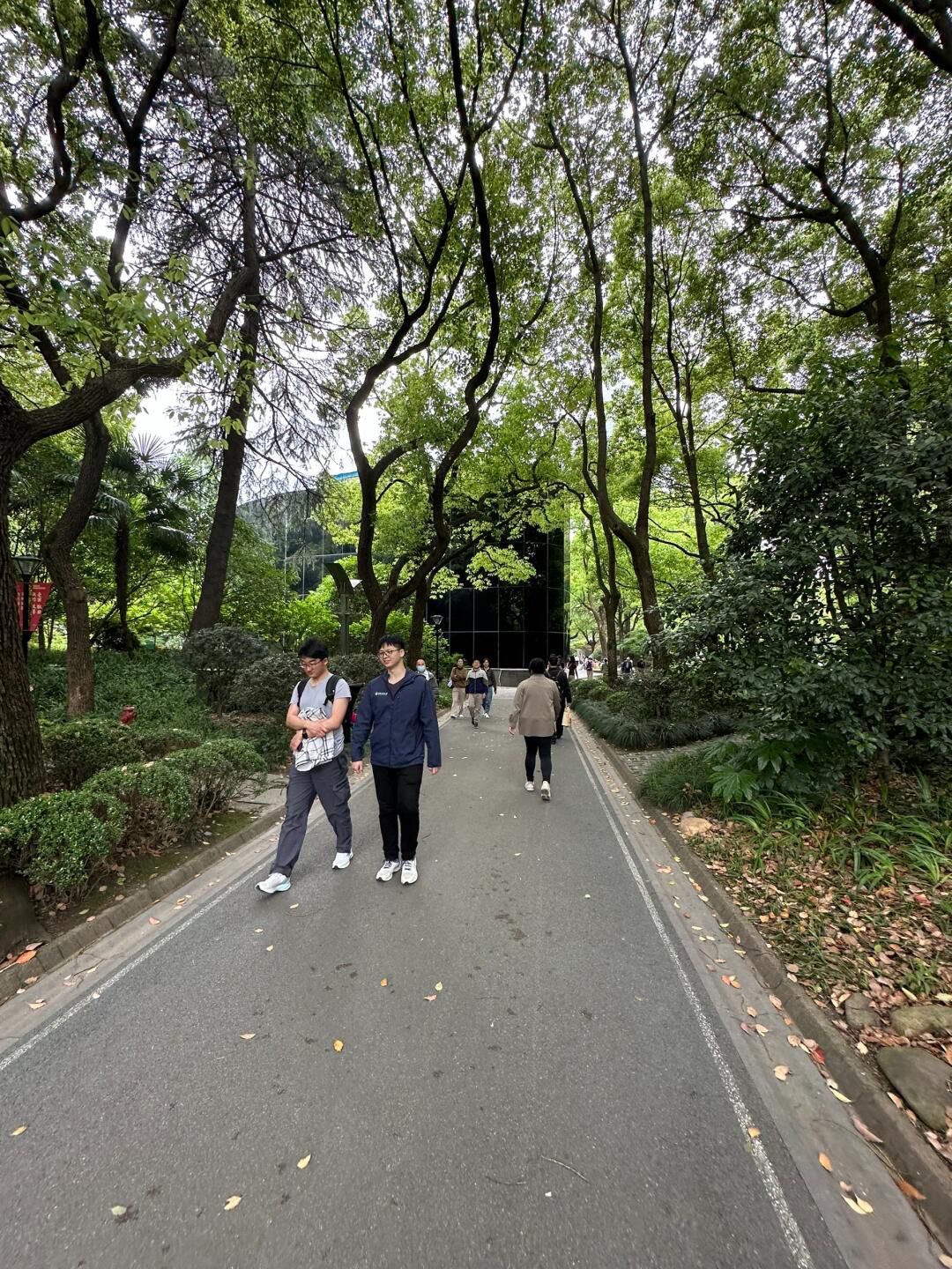 人民公园旅行图片 1