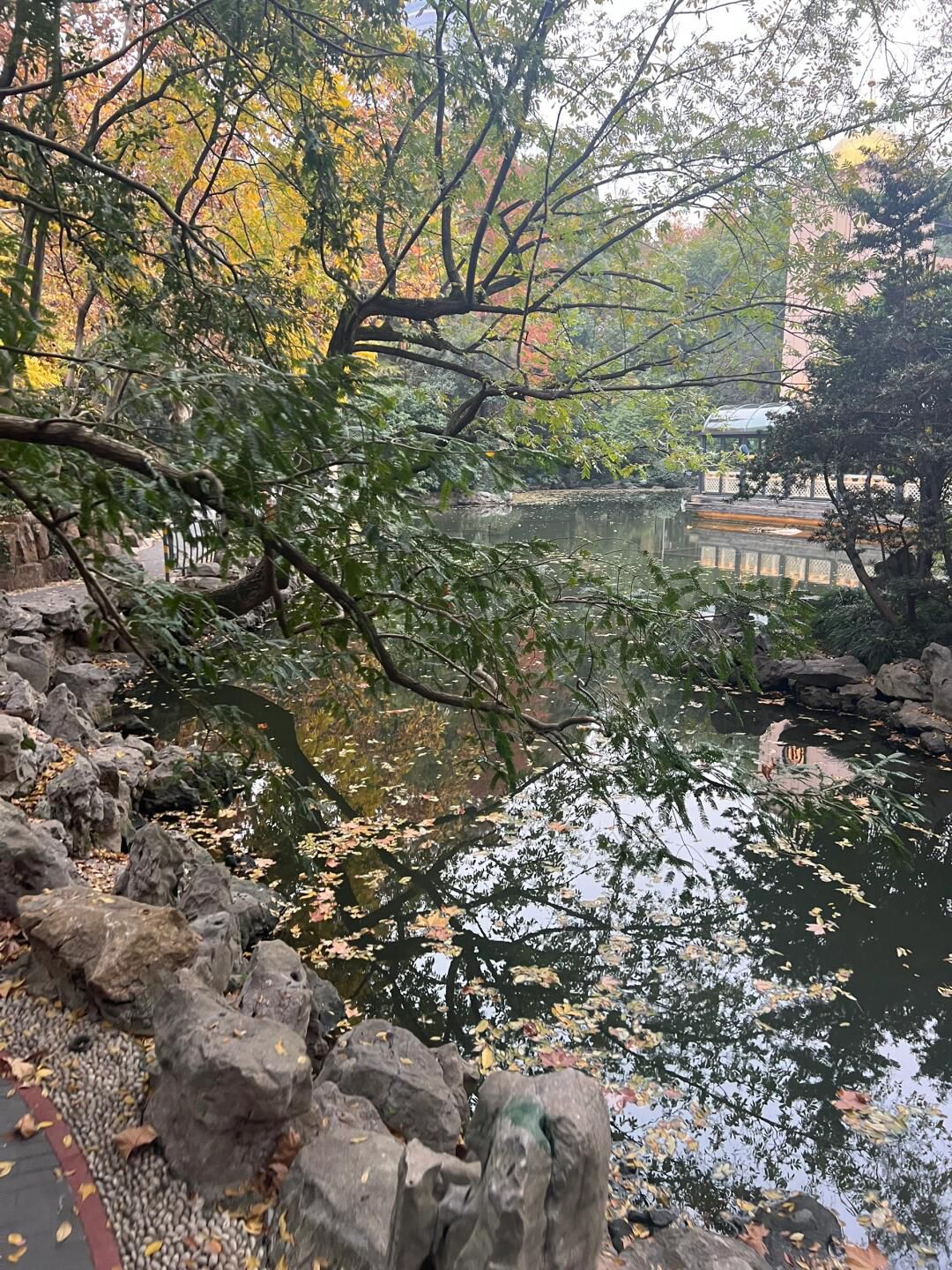 人民公园旅行图片 3