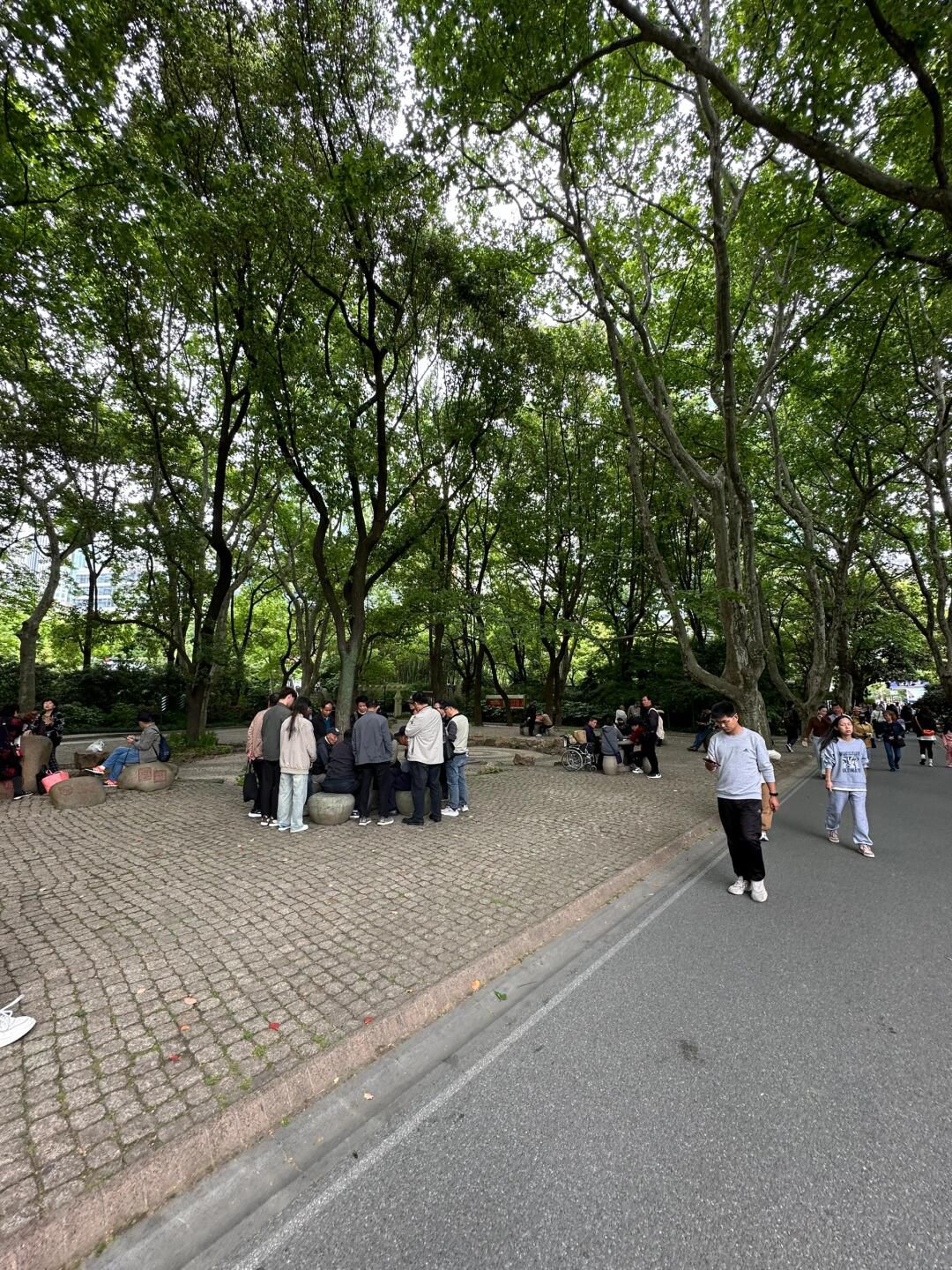 人民公园旅行图片 1