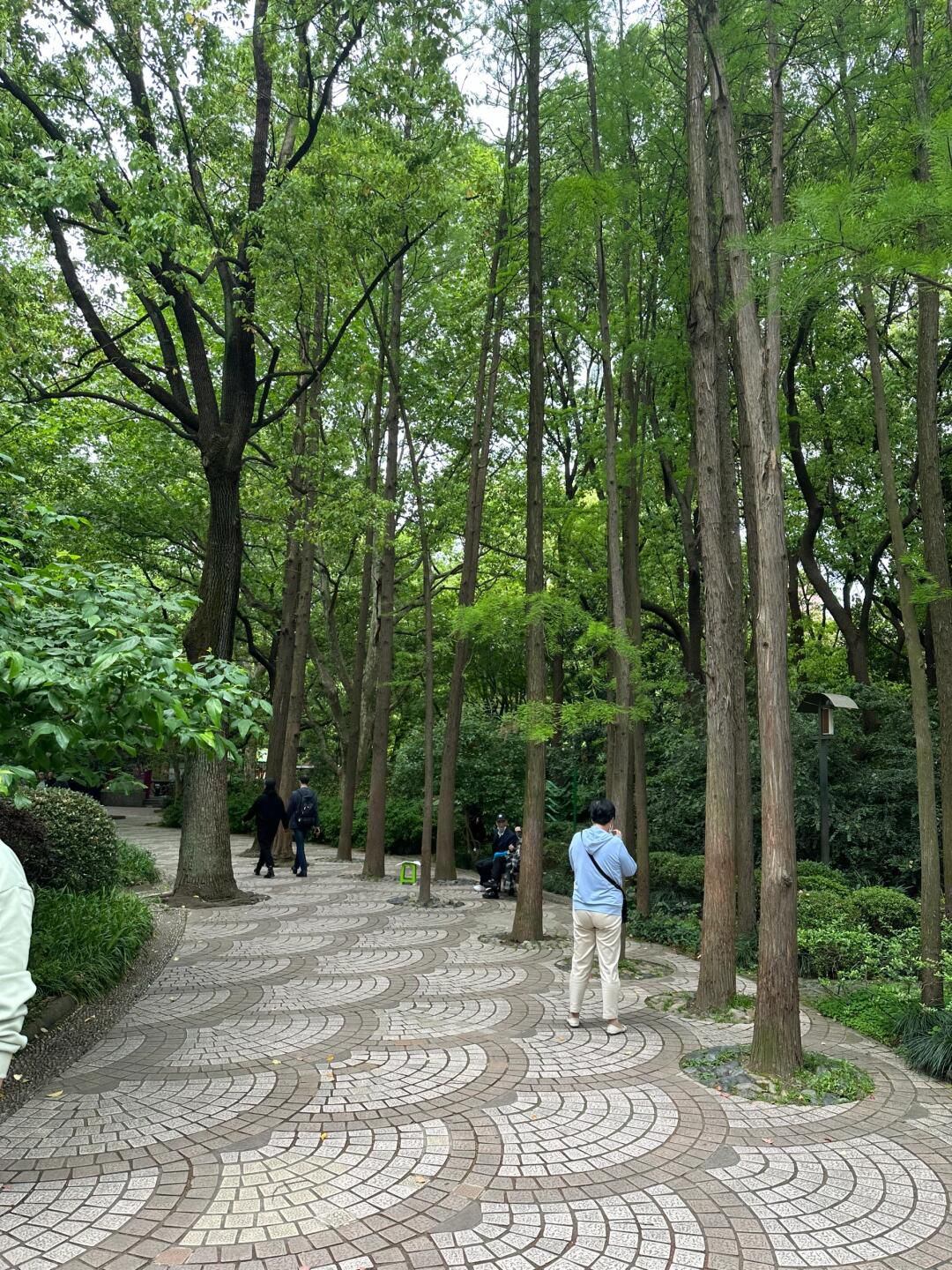 人民公园旅行图片 2