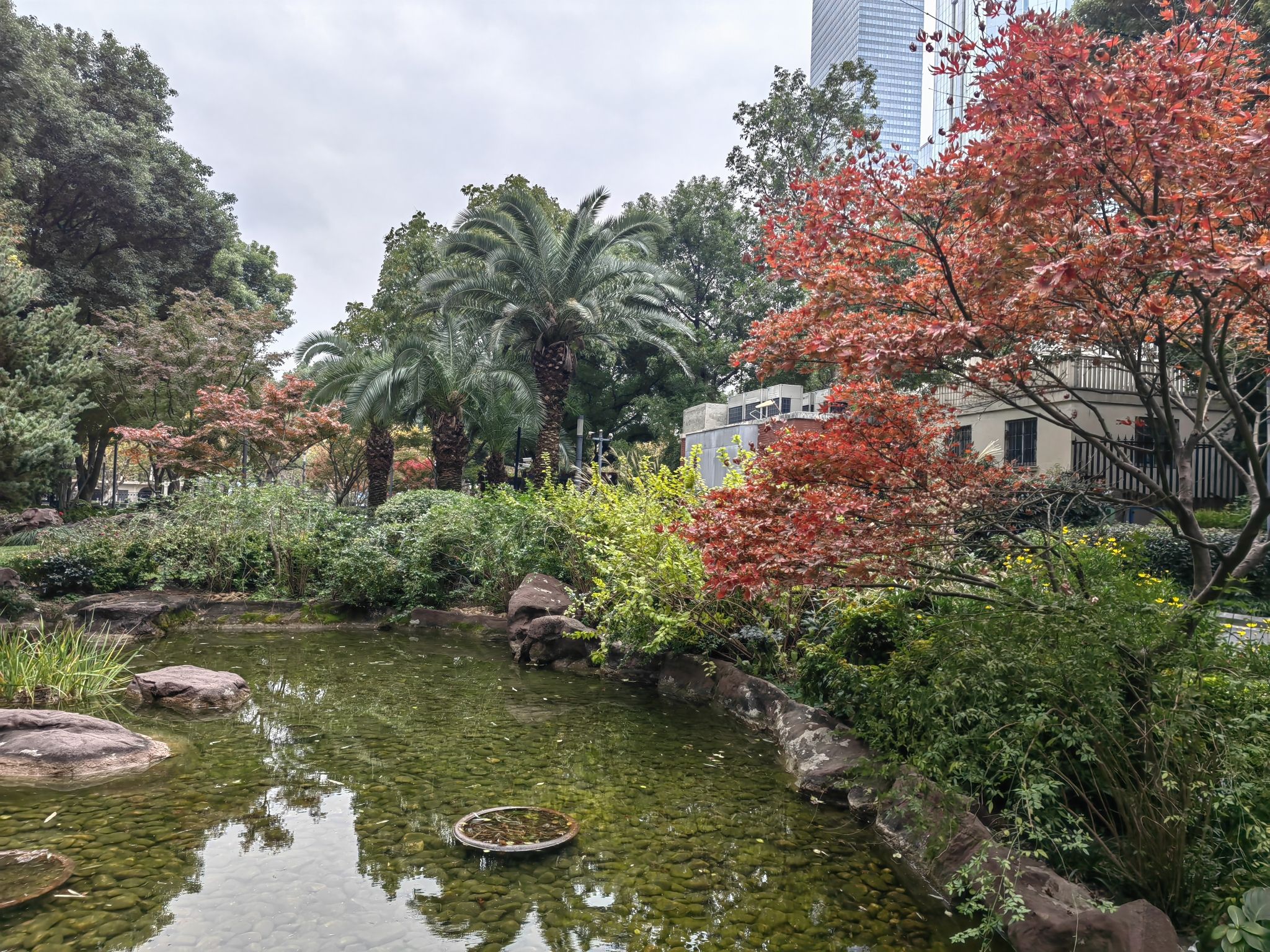 上海玫瑰花园旅行图片 2