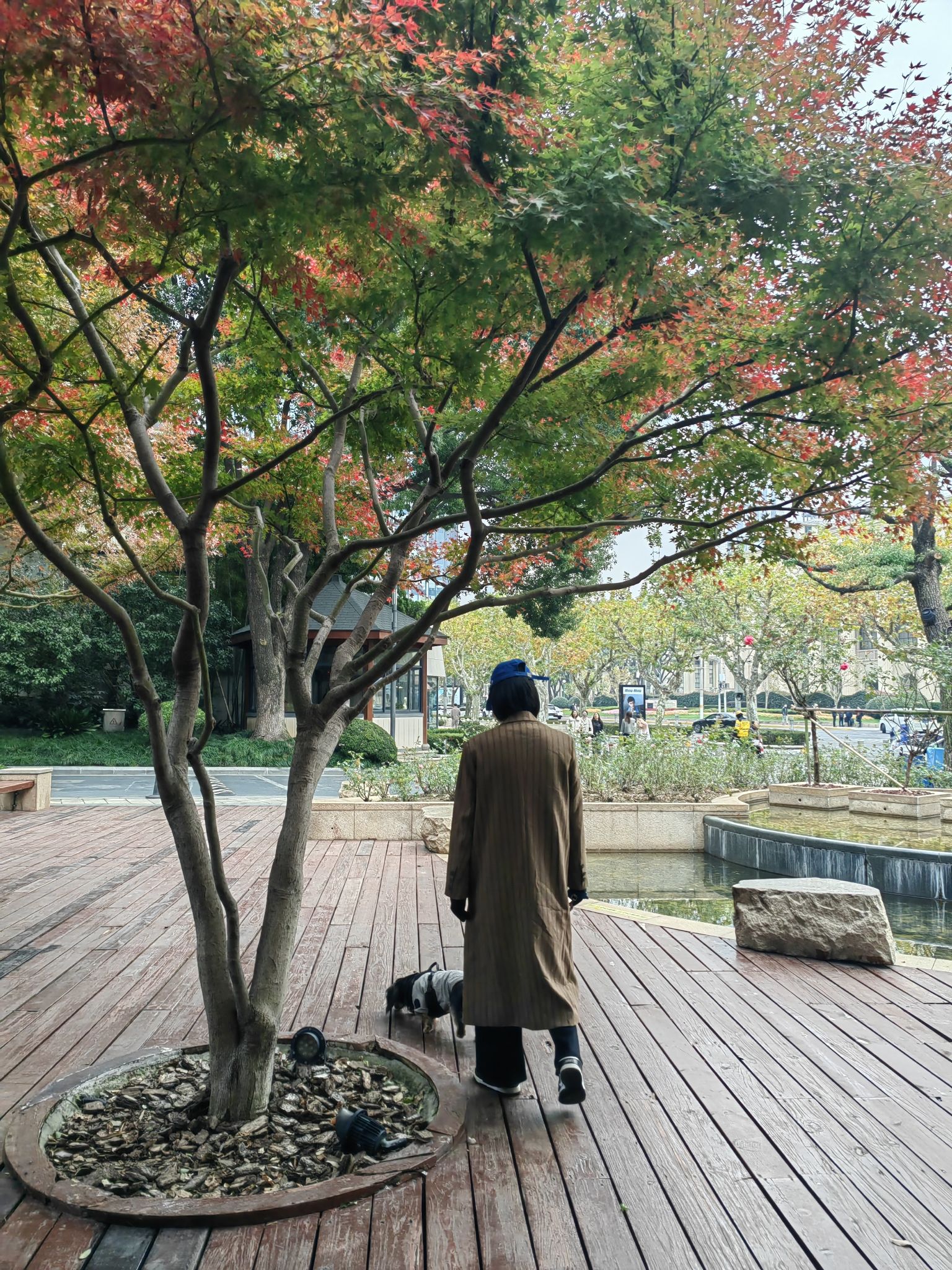 上海玫瑰花园旅行图片 3