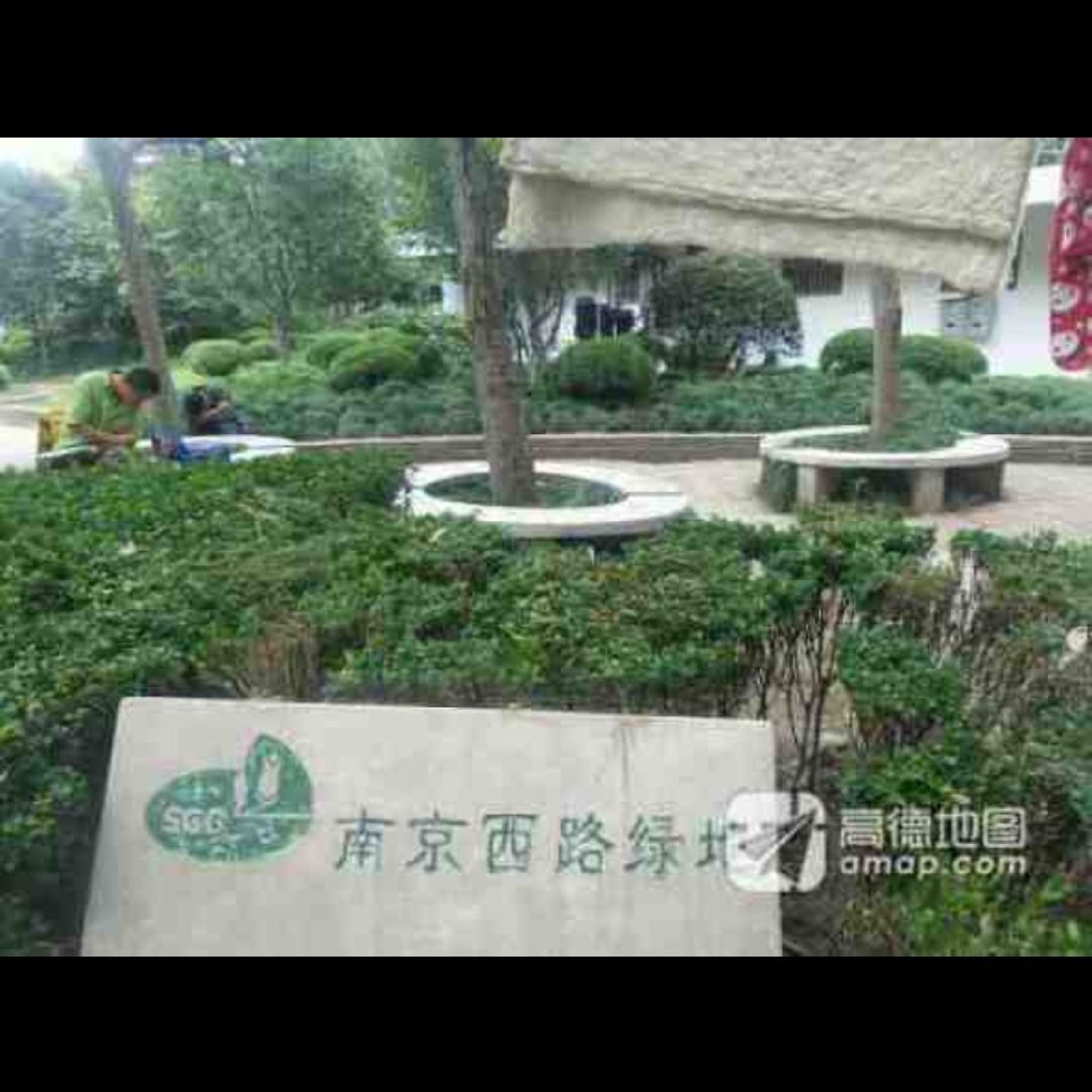 南京西路绿地旅行图片 1