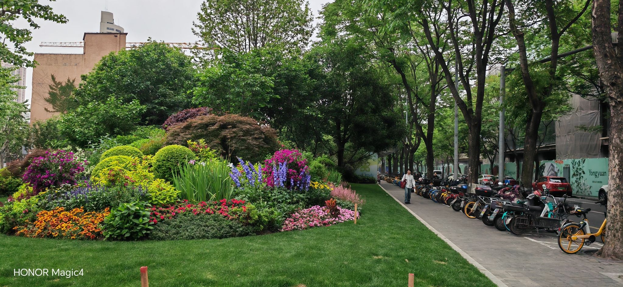 南京西路绿地旅行图片 3