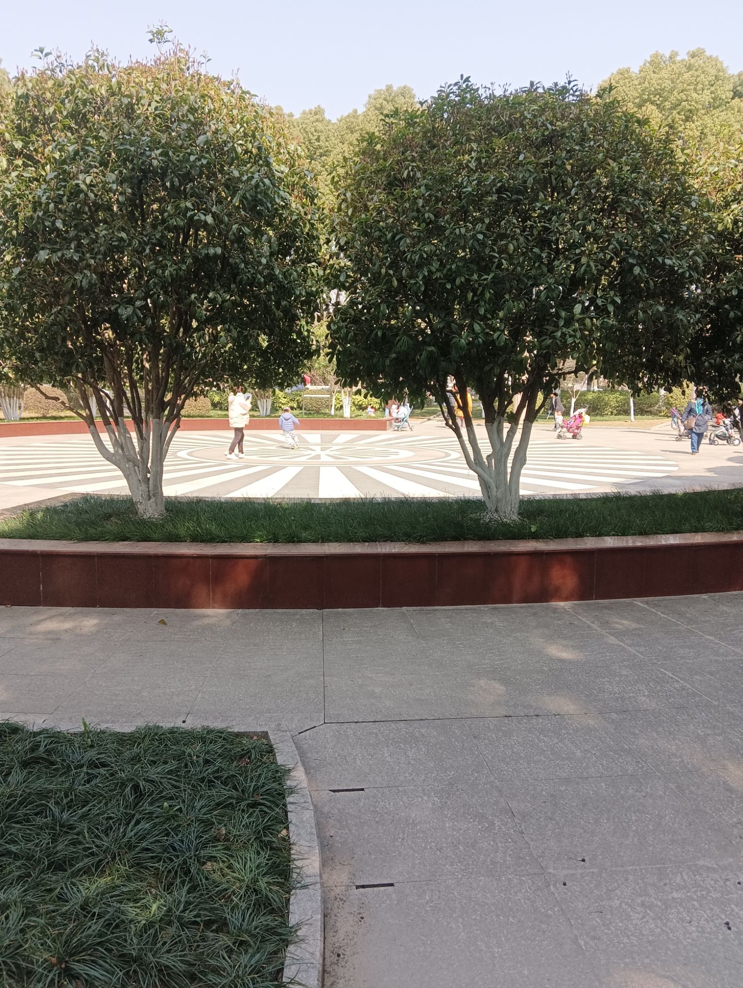 田园公园旅行图片 2