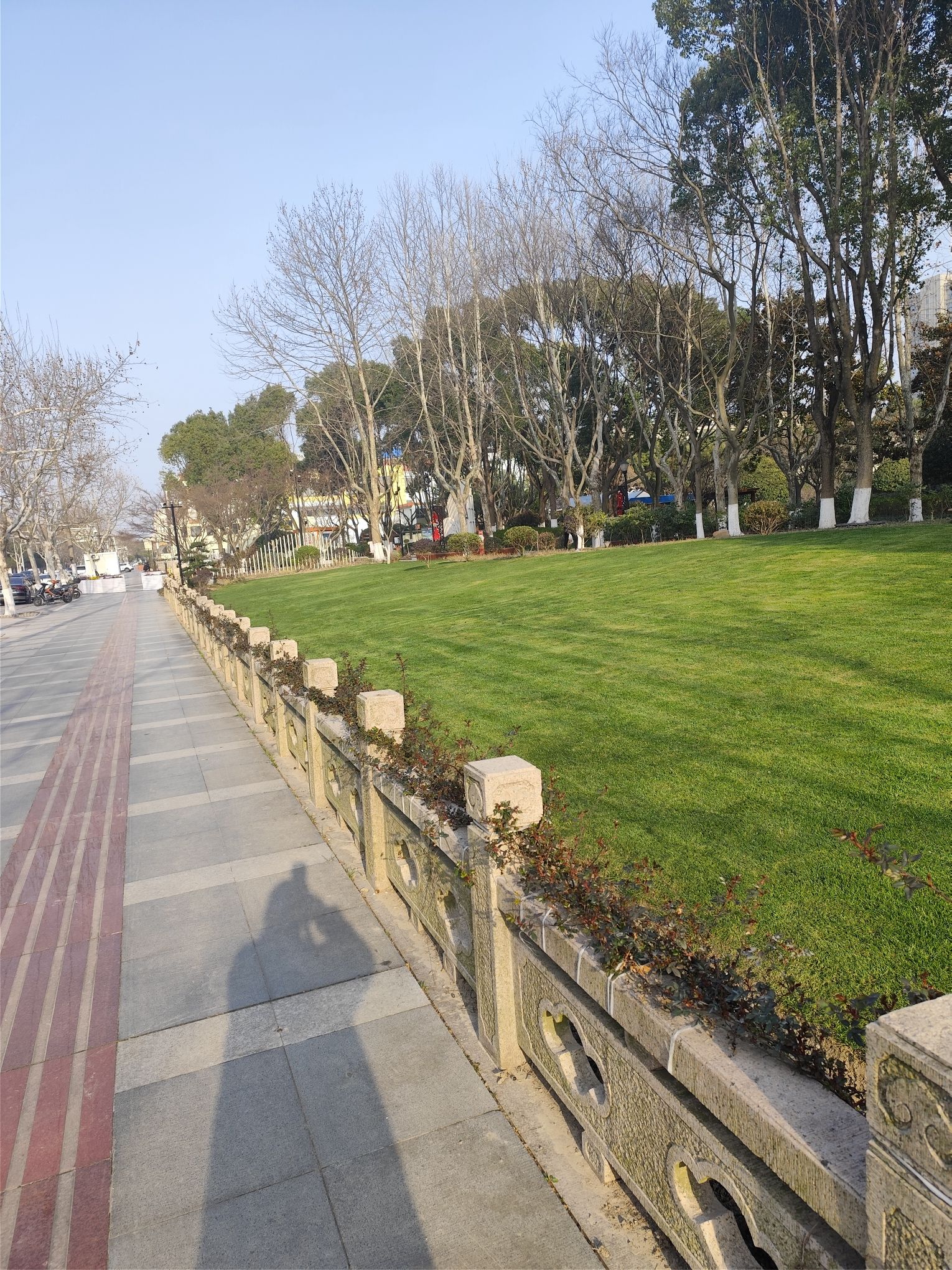 田园公园旅行图片 3