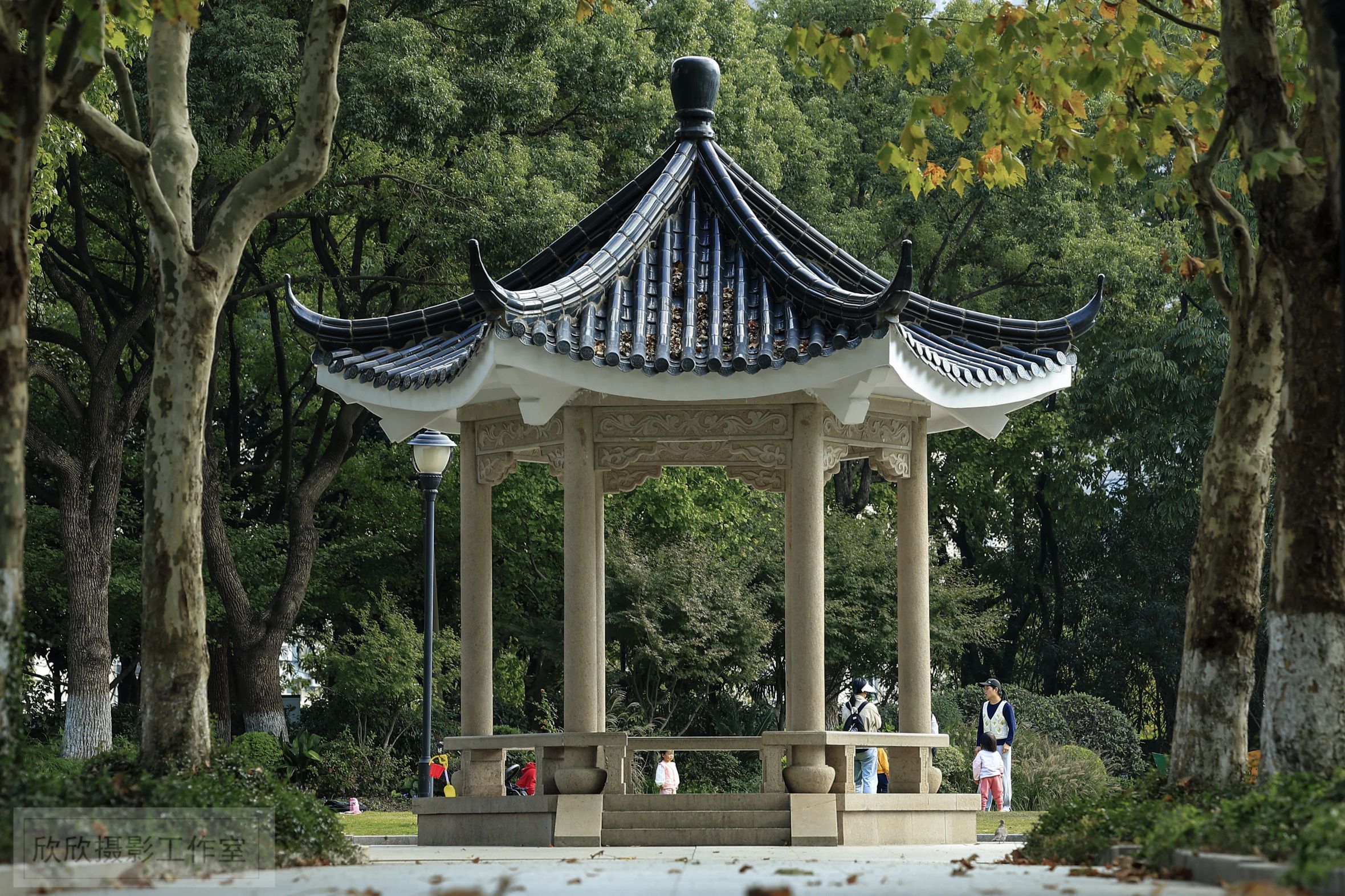 田园公园旅行图片 3