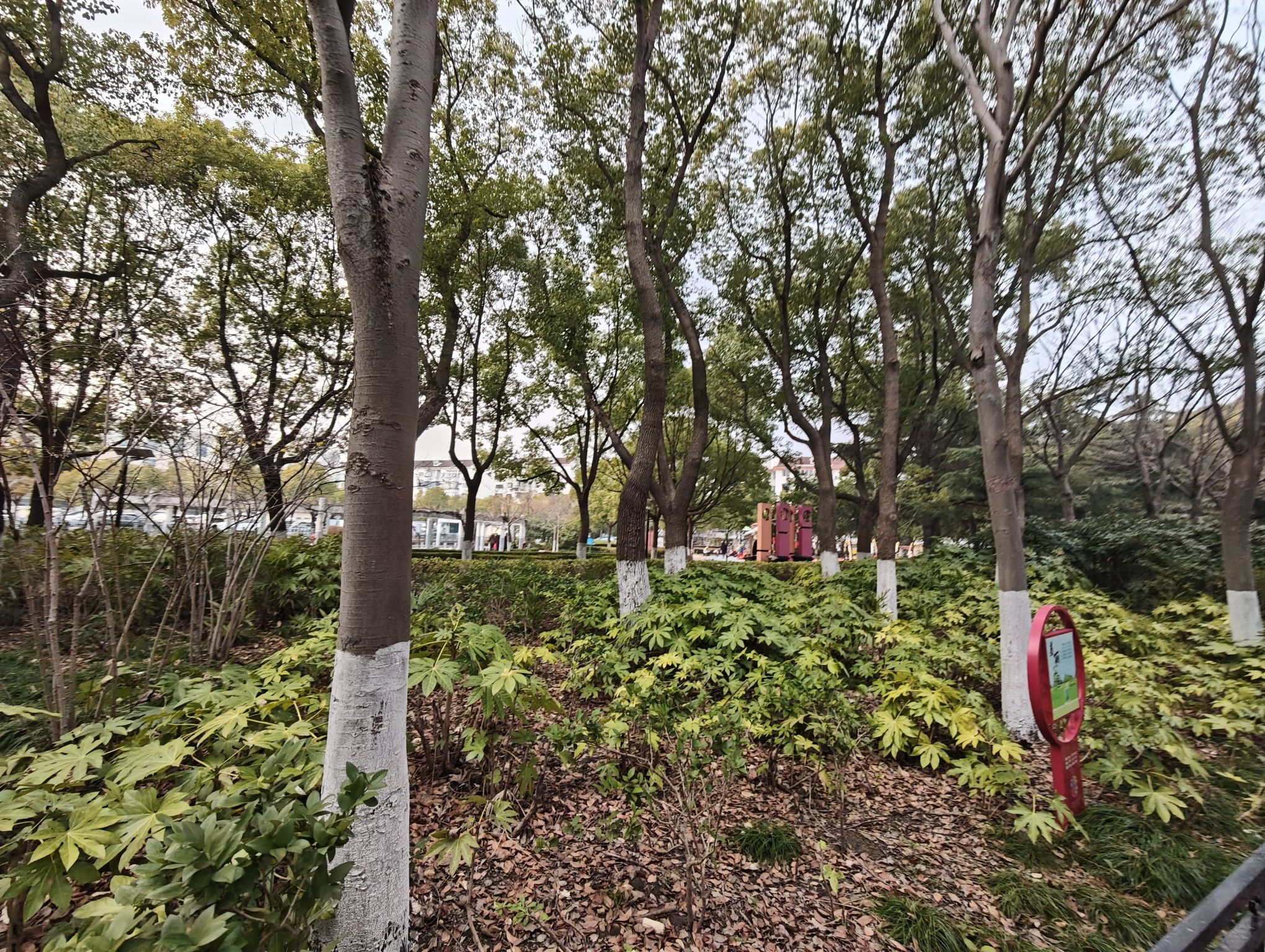 南苑公园旅行图片 3