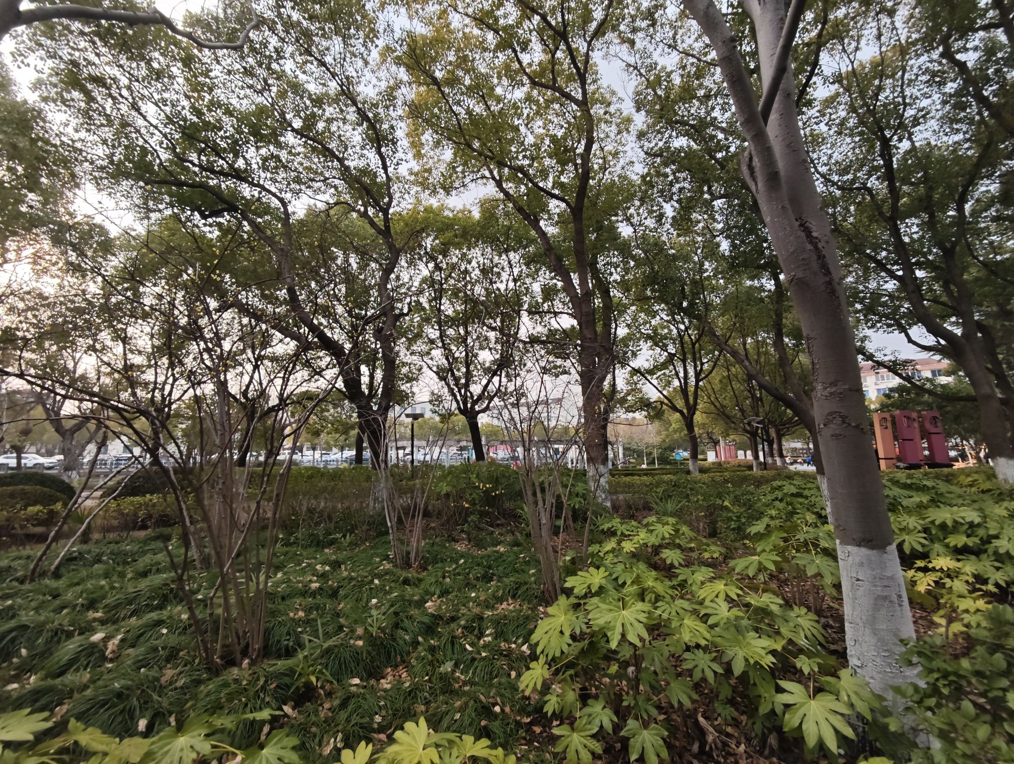 南苑公园旅行图片 1
