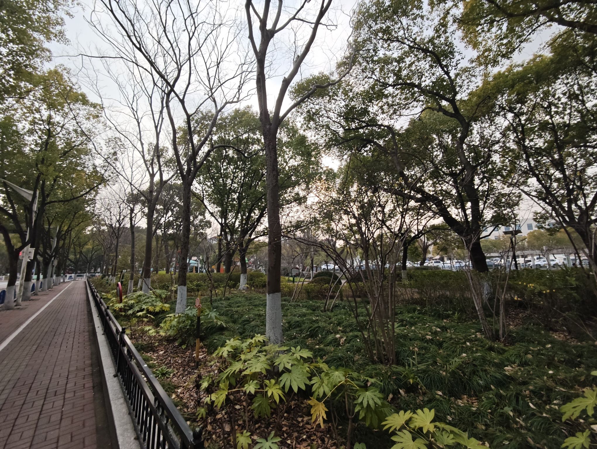 南苑公园旅行图片 2