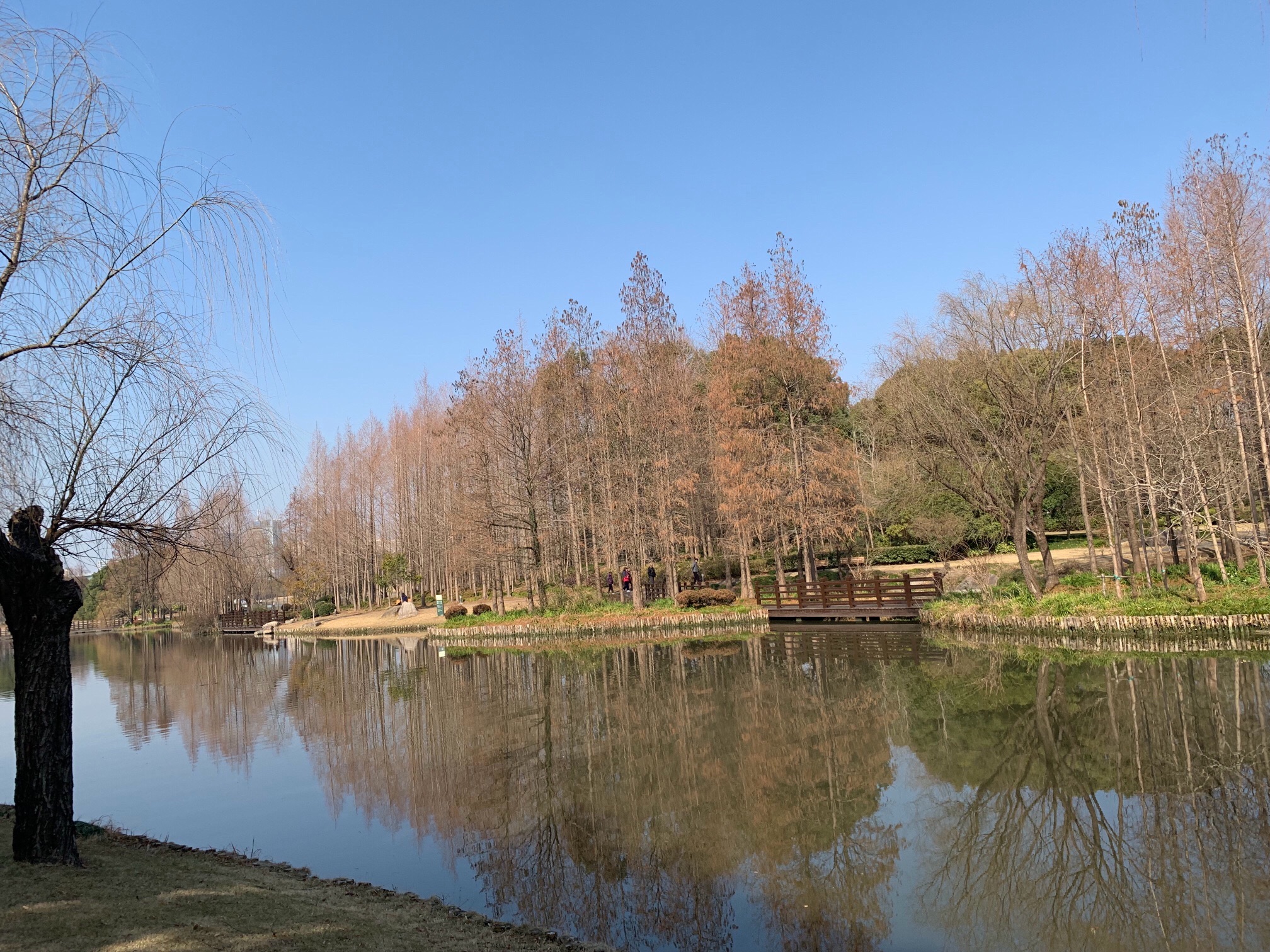 上海汽车博览公园旅行图片 3