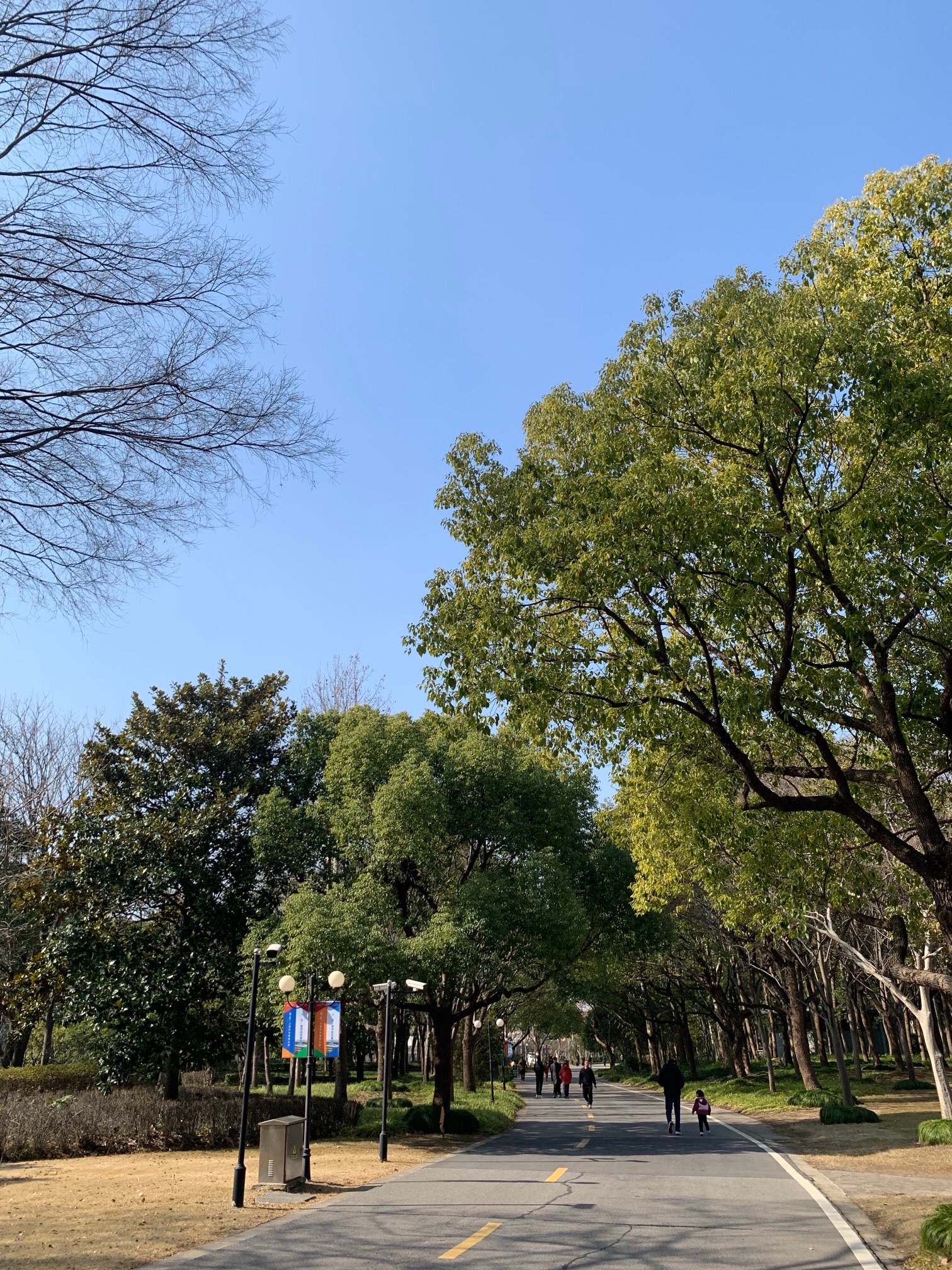 上海汽车博览公园旅行图片 2