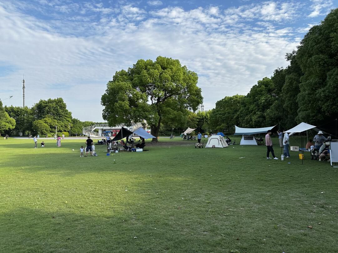 上海汽车博览公园旅行图片 3