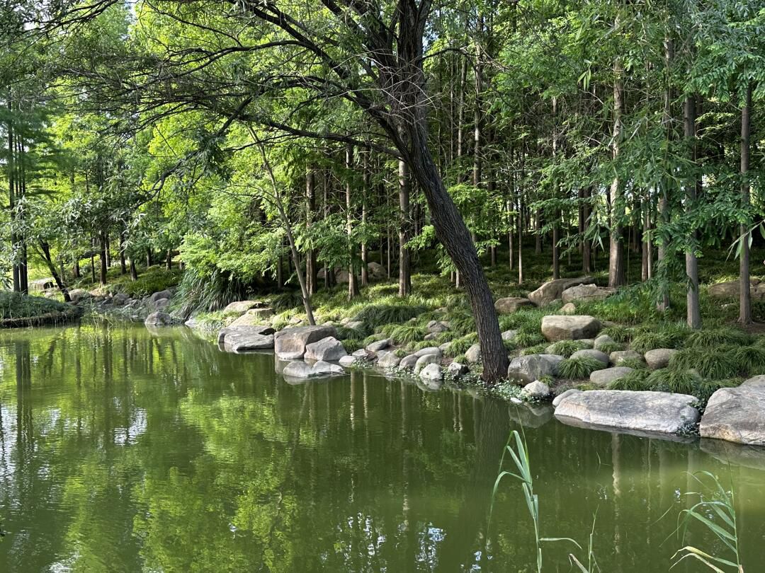 上海汽车博览公园旅行图片 2