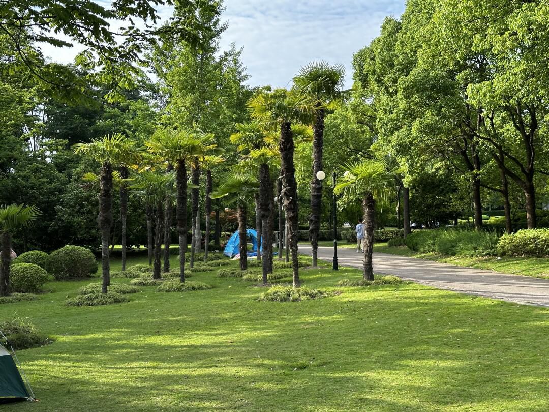 上海汽车博览公园旅行图片 1