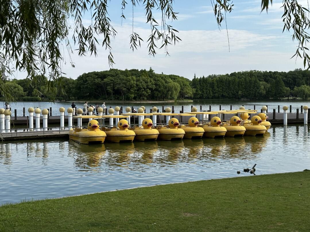 上海汽车博览公园旅行图片 2