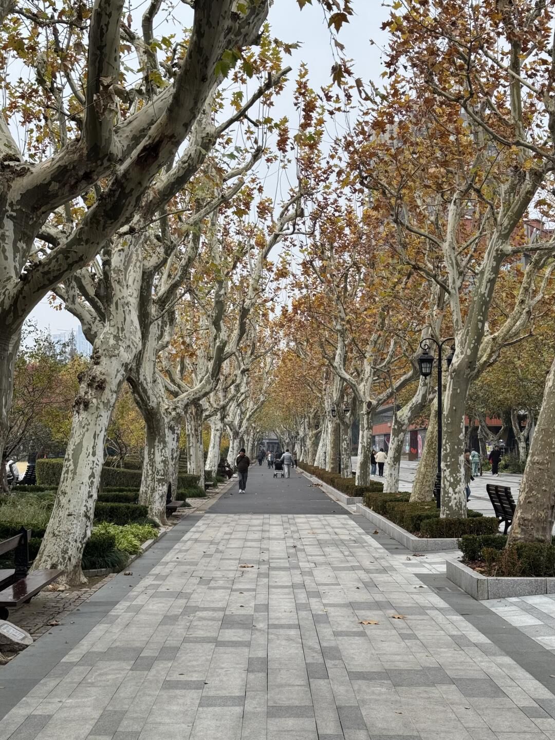 复兴公园旅行图片 3